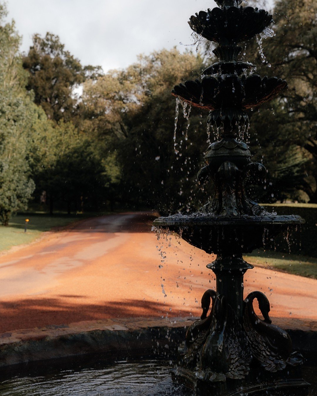 Take in the magic of Losari and the beauty of nature during your stay 🌿

Captured so beautifully by @bloodandstone.co
