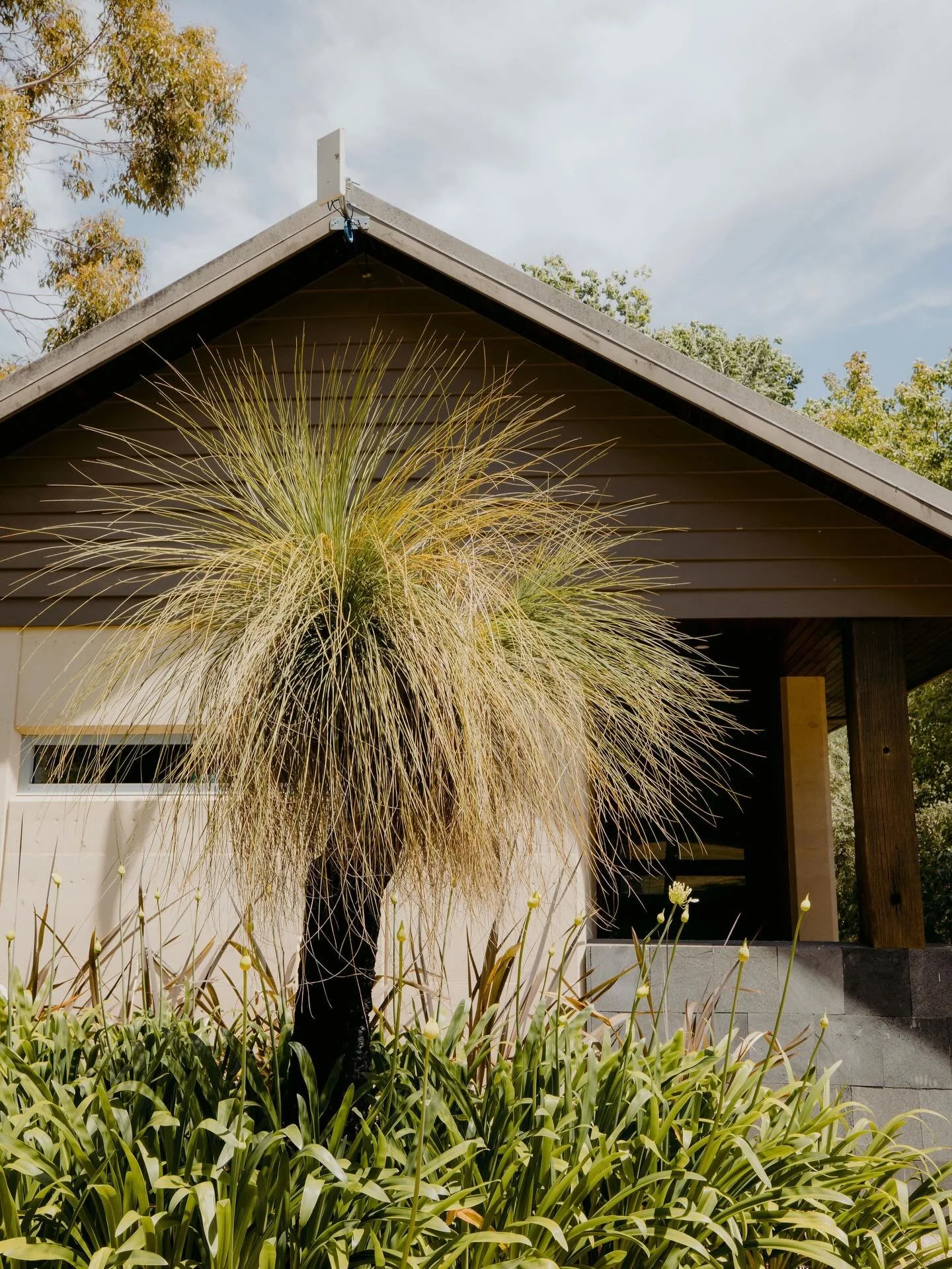 Botanica Spa Villa ✨

Our Botanica Spa Villa is designed for couples looking to completely unwind.

Think indoor-outdoor living, your own secluded outdoor spa, and peaceful surroundings that make it easy to switch off from the outside world. Featurin