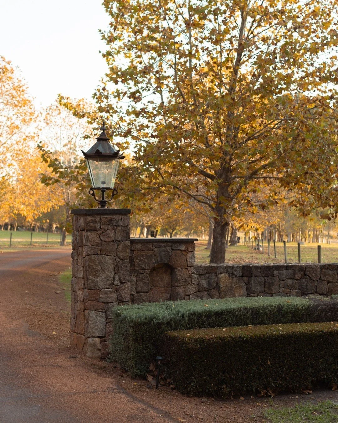 Autumn Hues. Simply Stunning. 🍂