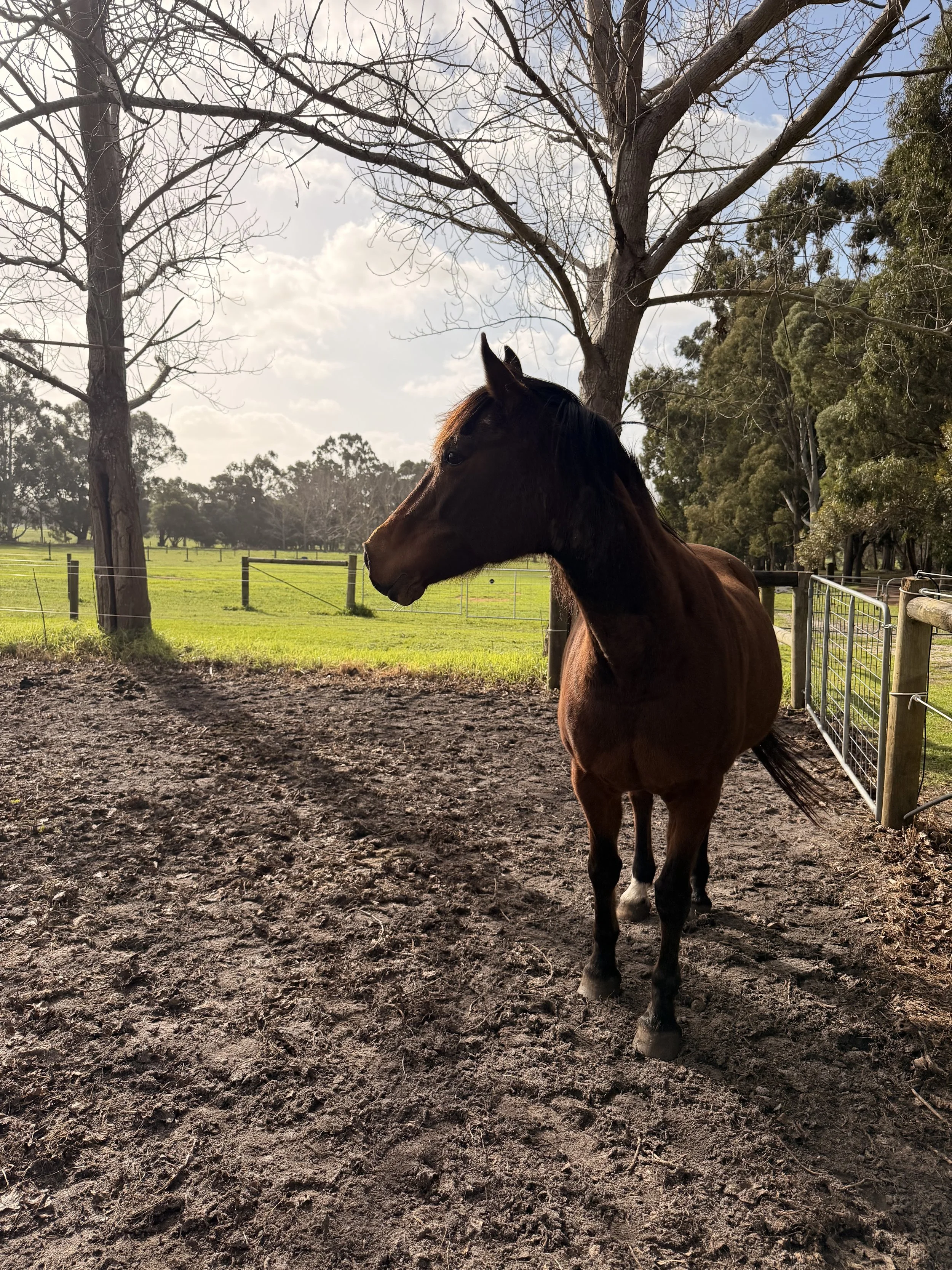 A Birthday Escape for Three Friends and Their Horses Losari Retreat 6.jpeg