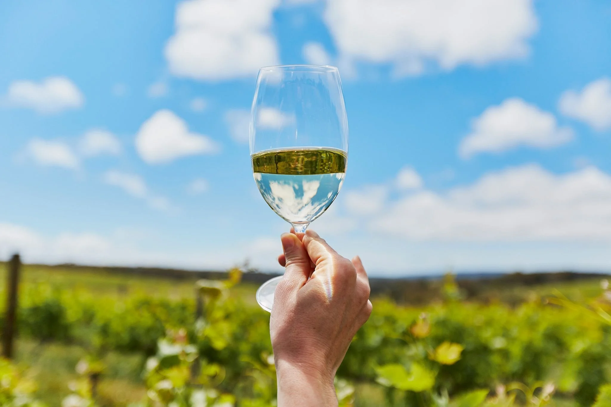 Top Margaret River Activities & Attractions Losari Retreat — Losari