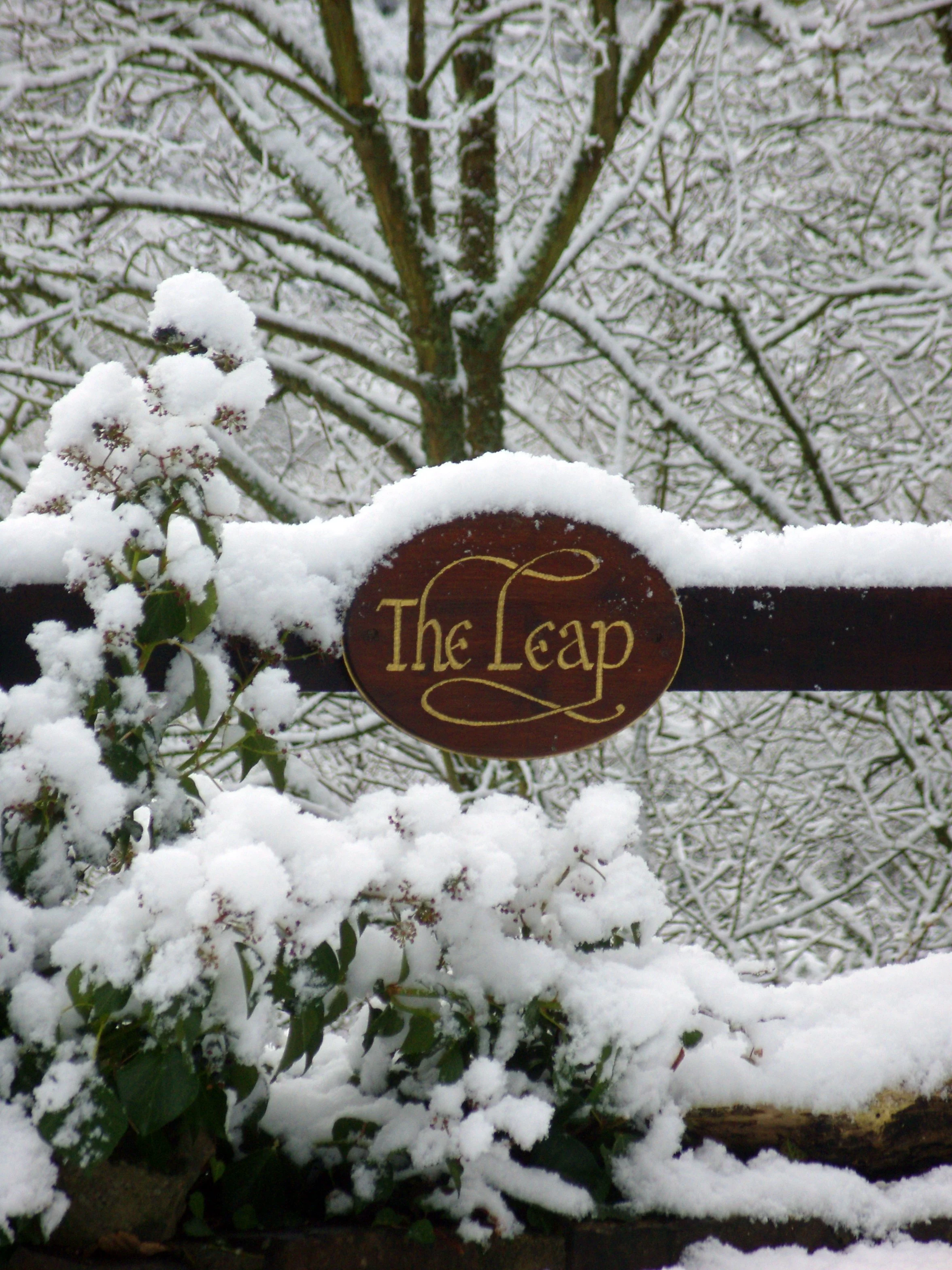 Snow-covered tree and bushes behind a wooden sign that says "The Leap" in gold lettering.