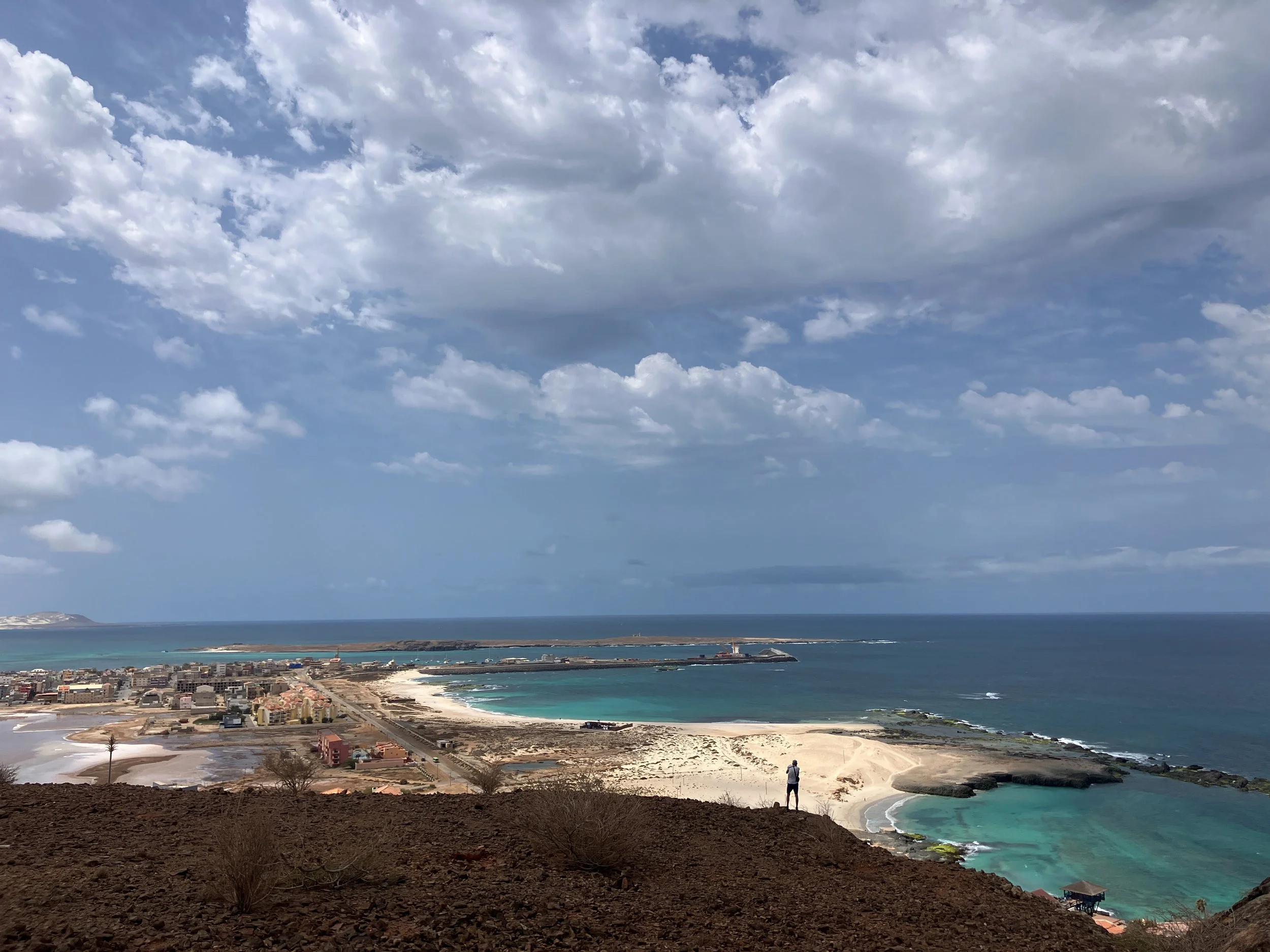 sobre peixes e baleias