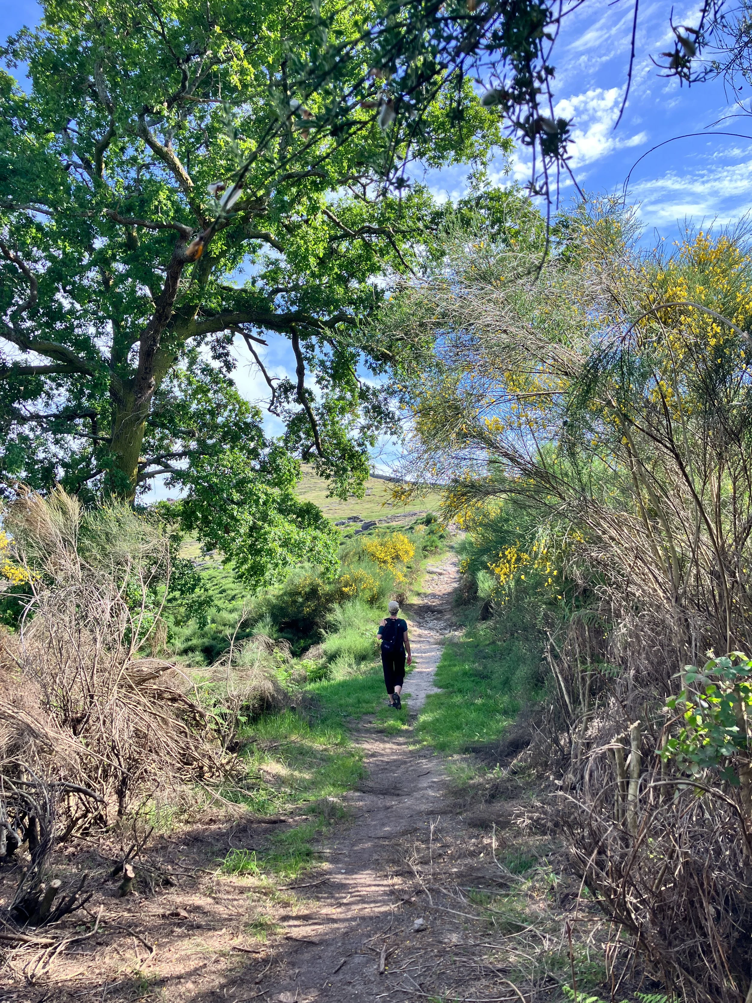 keep walking…