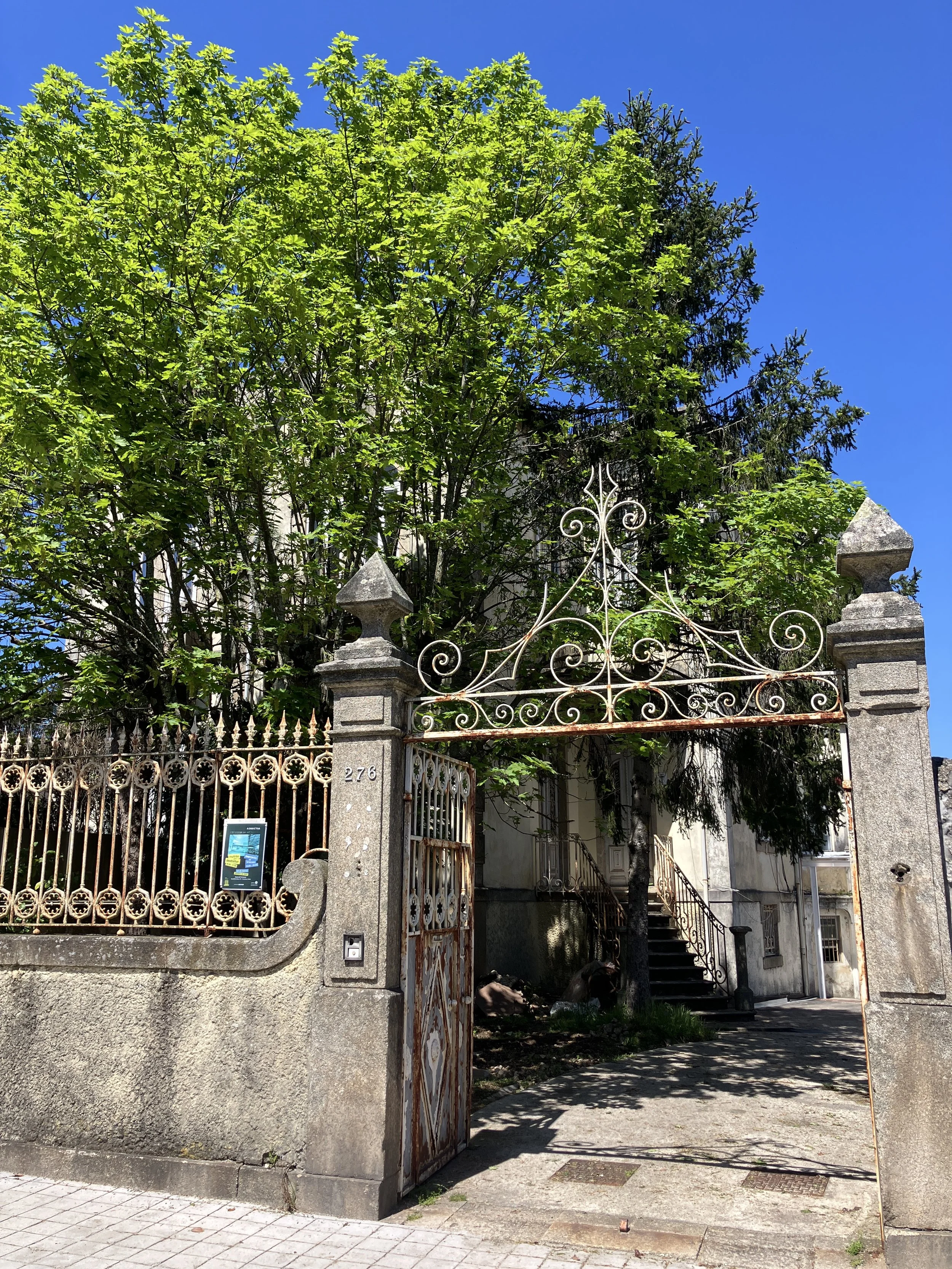 Fotografias de Luis Guterres , Filipa Luz, Vinicius Armistrong e Fernanda Curi