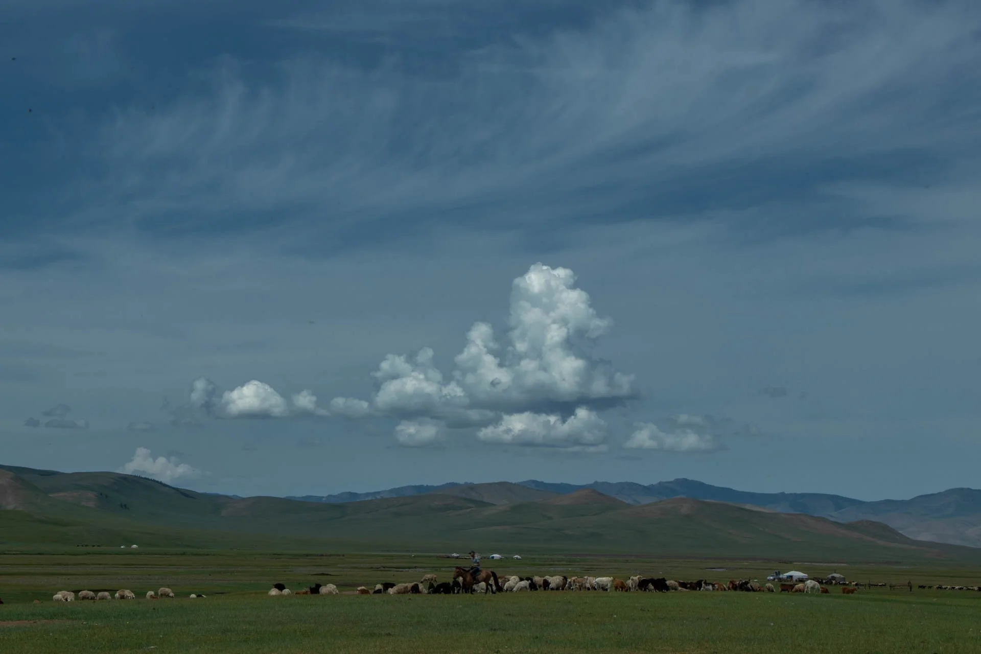 _MG_0260.jpg