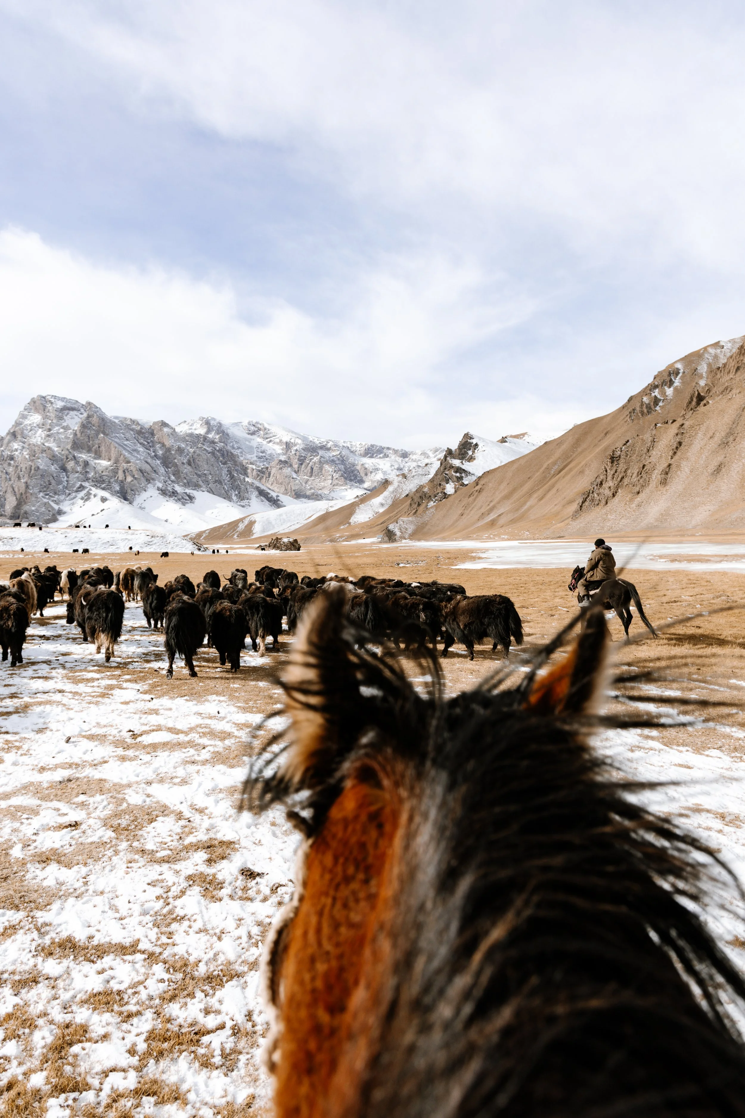 2026KyrgyzstanHR-612.jpeg
