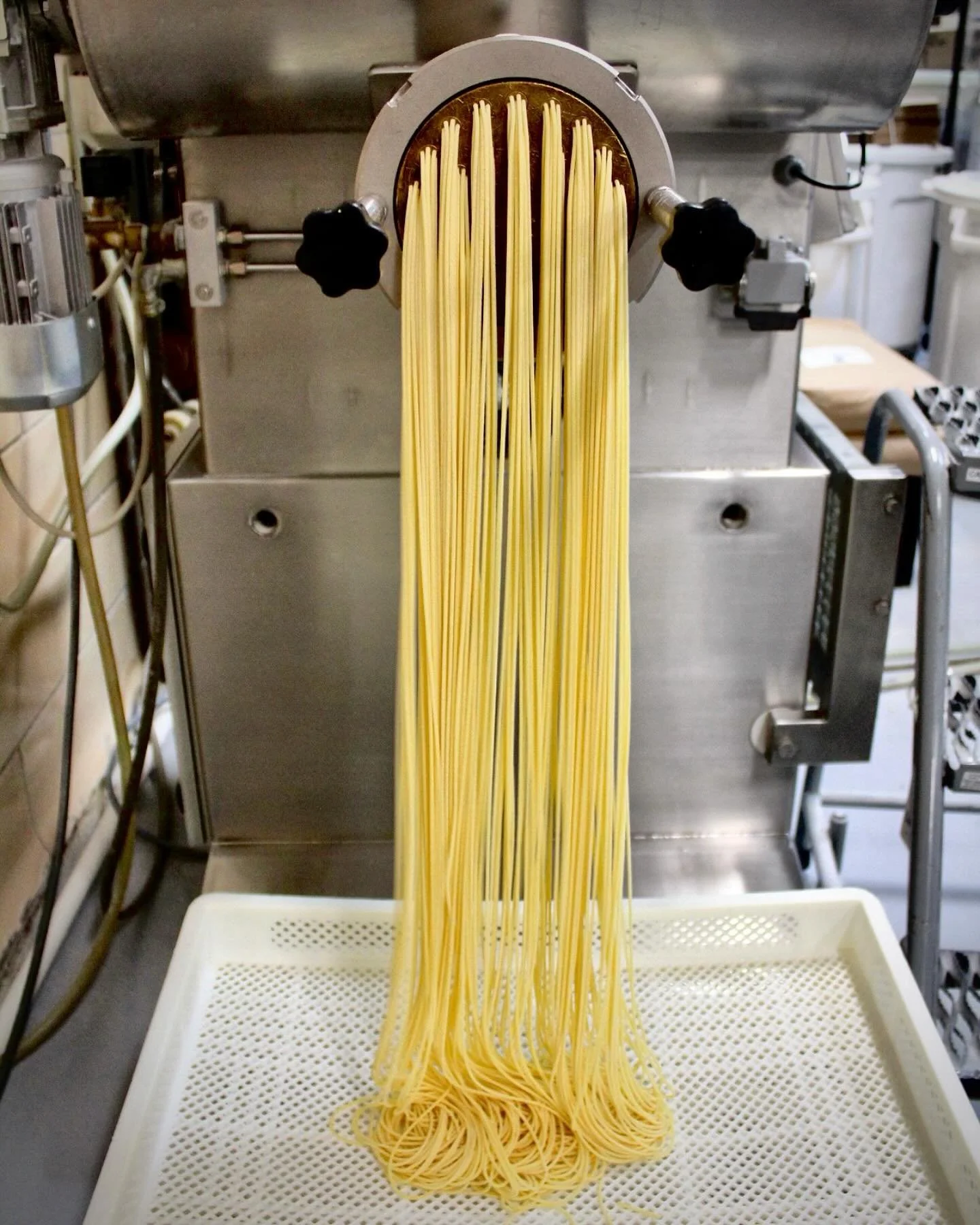 Hot off the pasta extruder&hellip; SPAGHETTI!