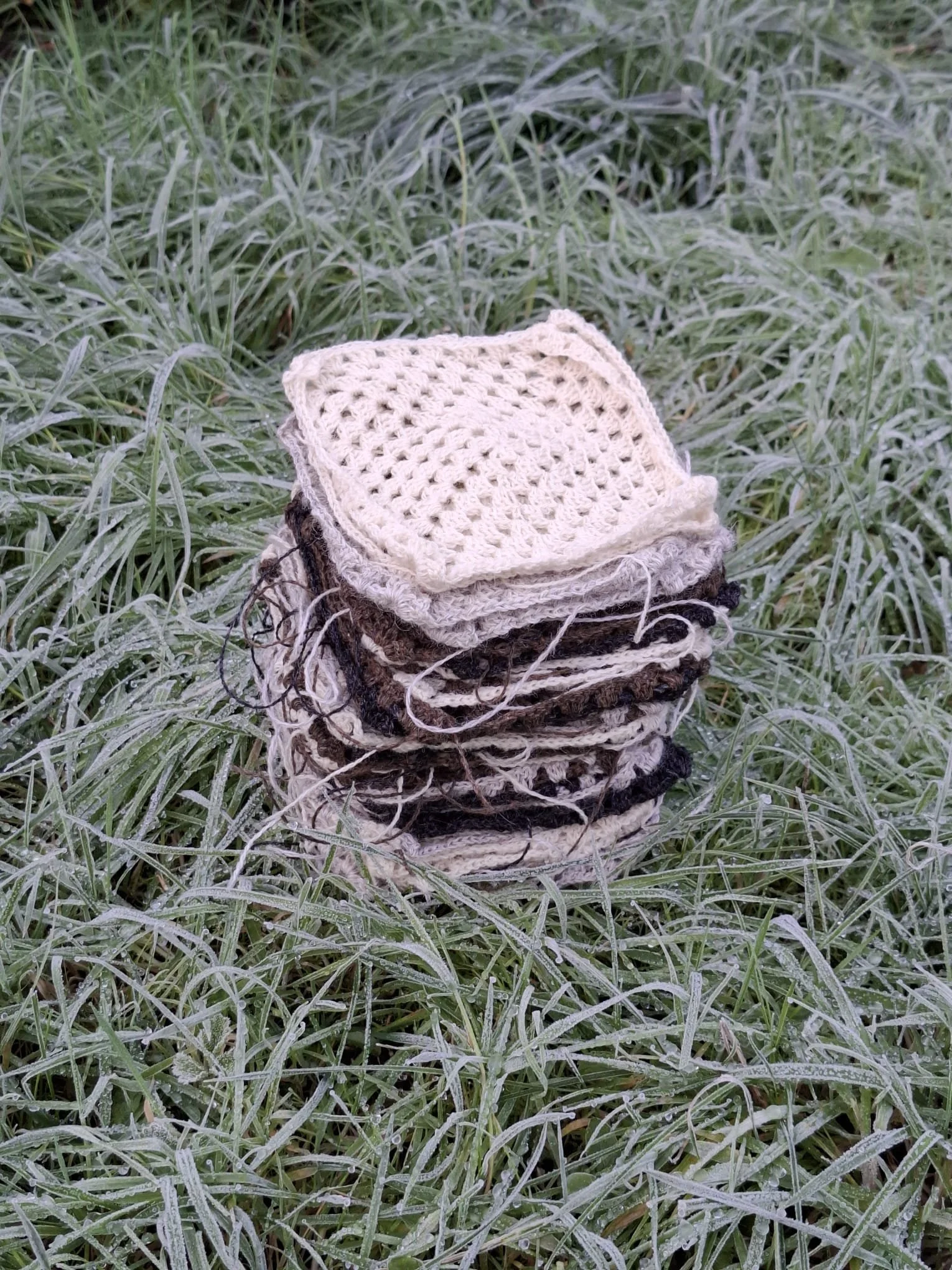 WhatsApp Image 2026-01-07 at 23.47.15 (25).jpeg