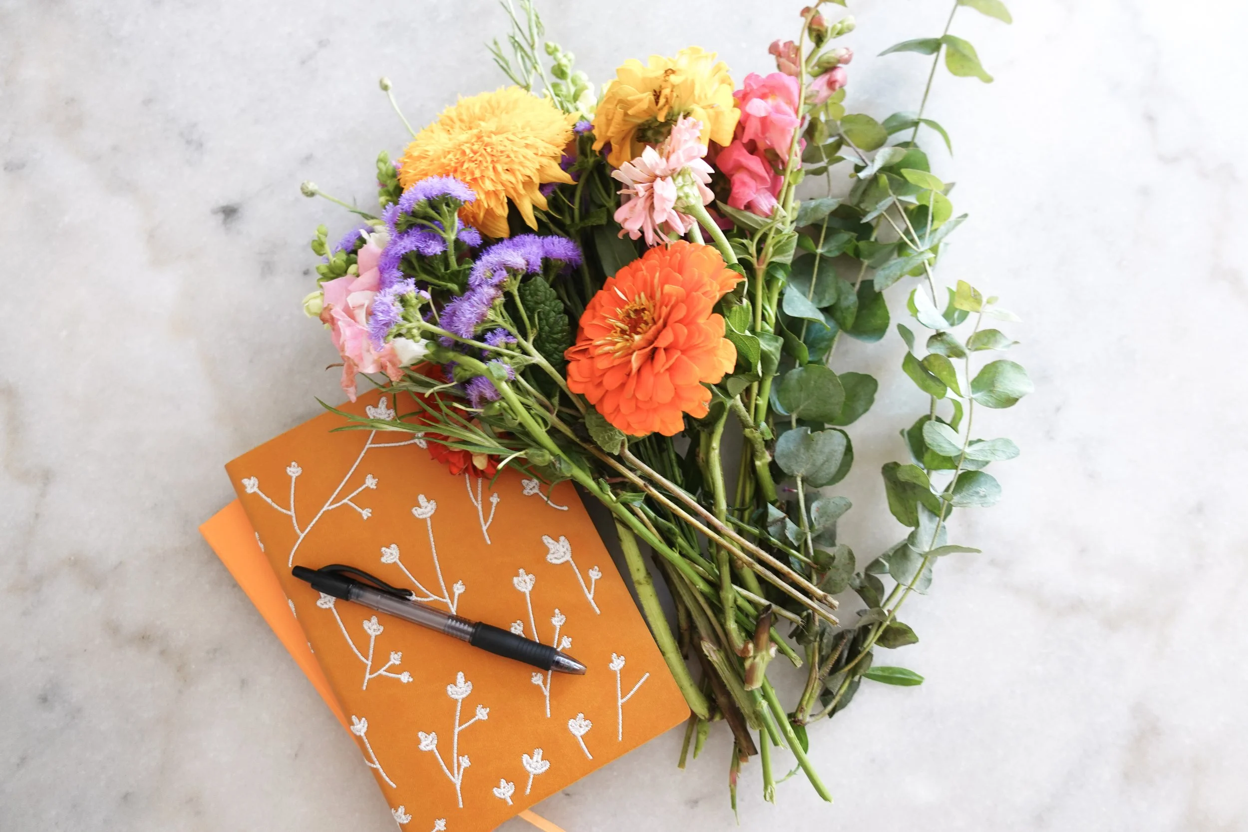 Everything You Need to Know About How to Write a Book Proposal Agents Will Love