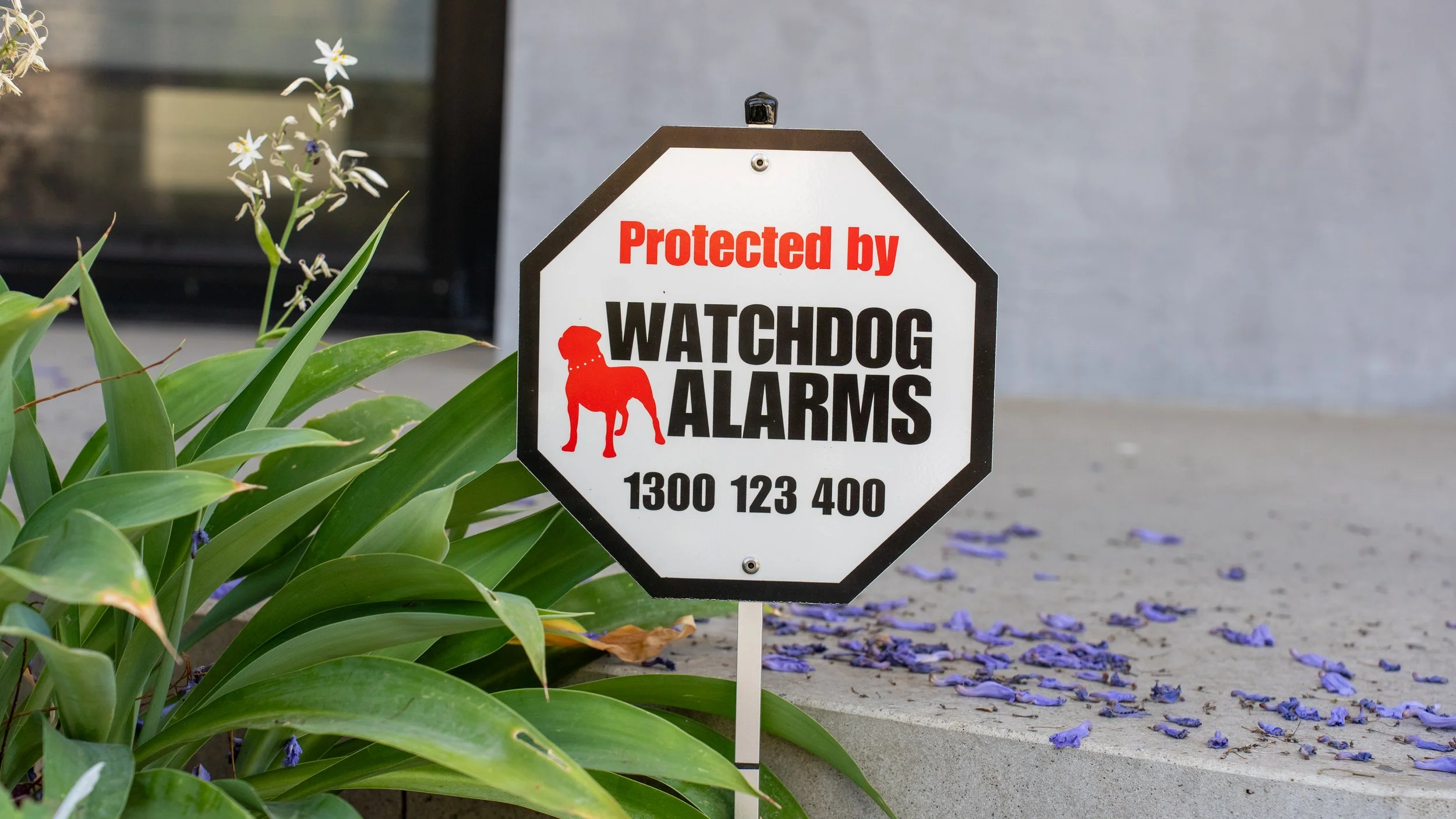 Watch Dog Alarms — ABC2Import