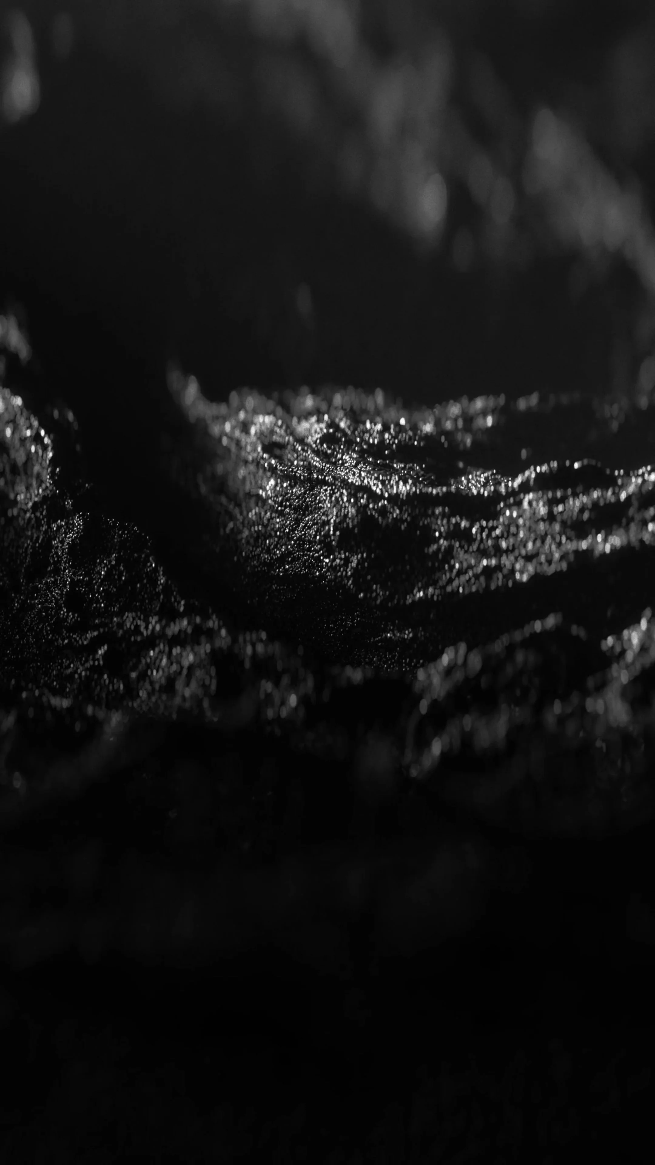 Untitled_2.15.1.jpg