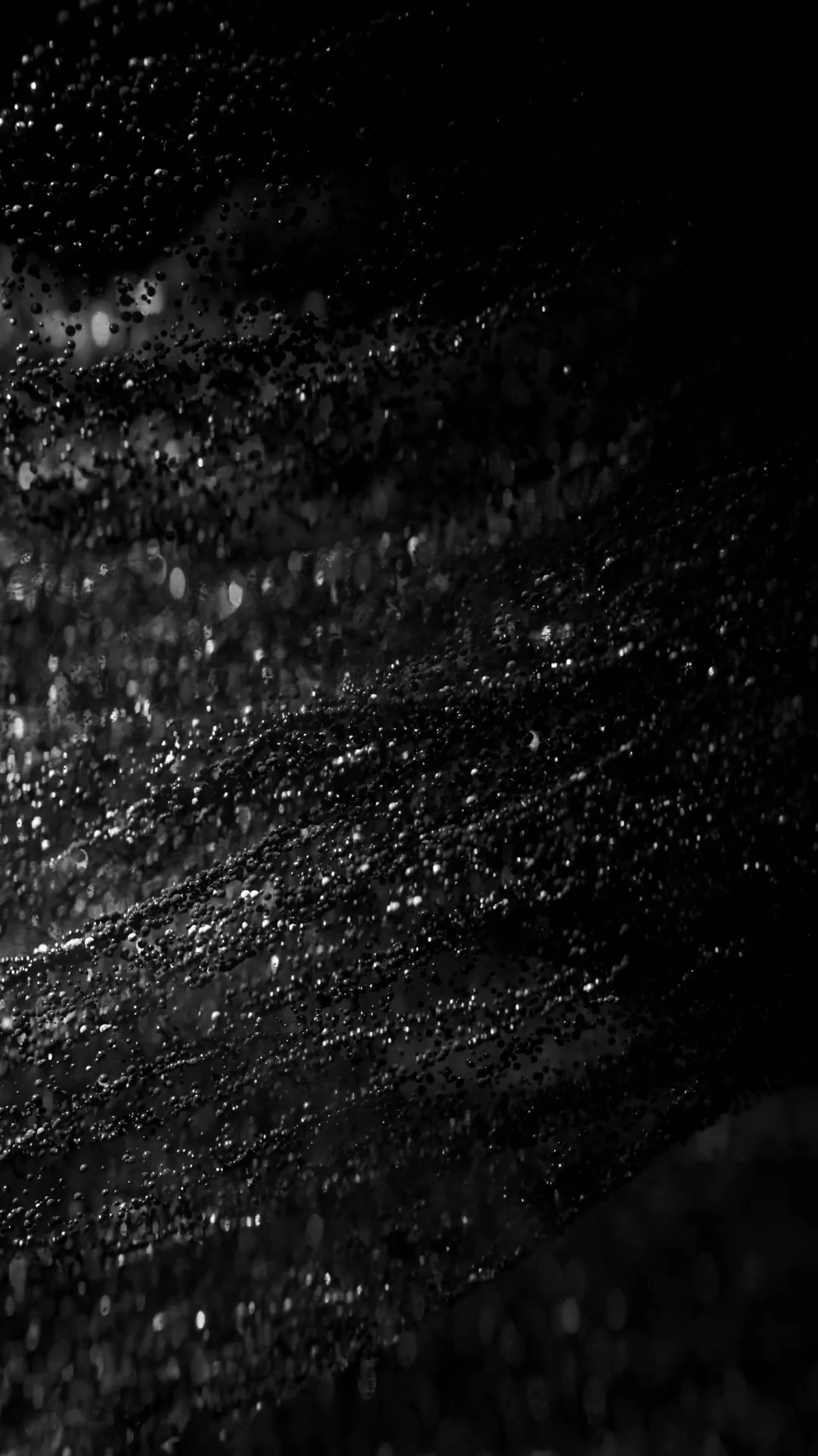Untitled_2.25.1.jpg