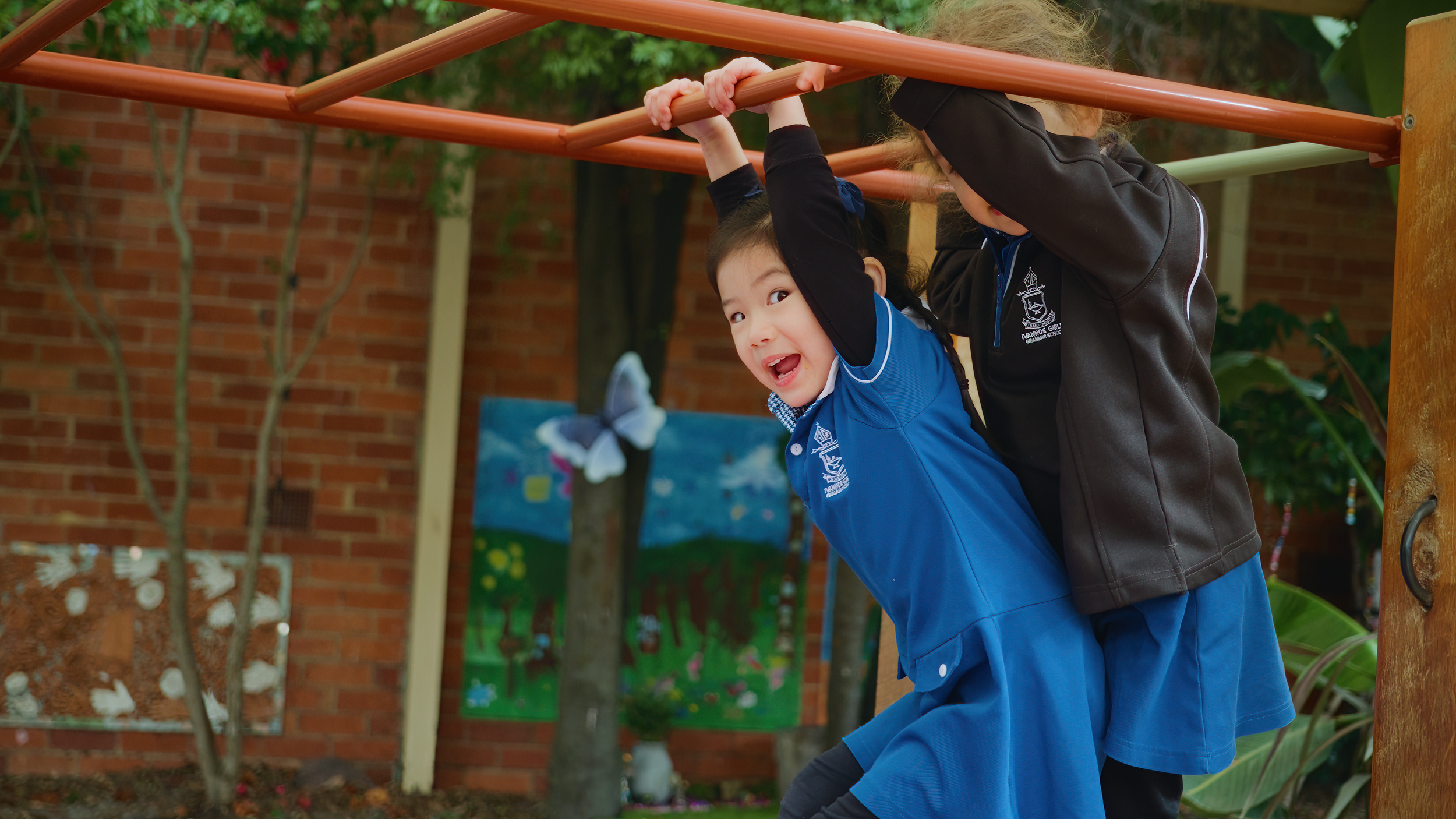 ECL3 - 3min video.00_00_14_23.Still005-SharpenAI-Standard.png