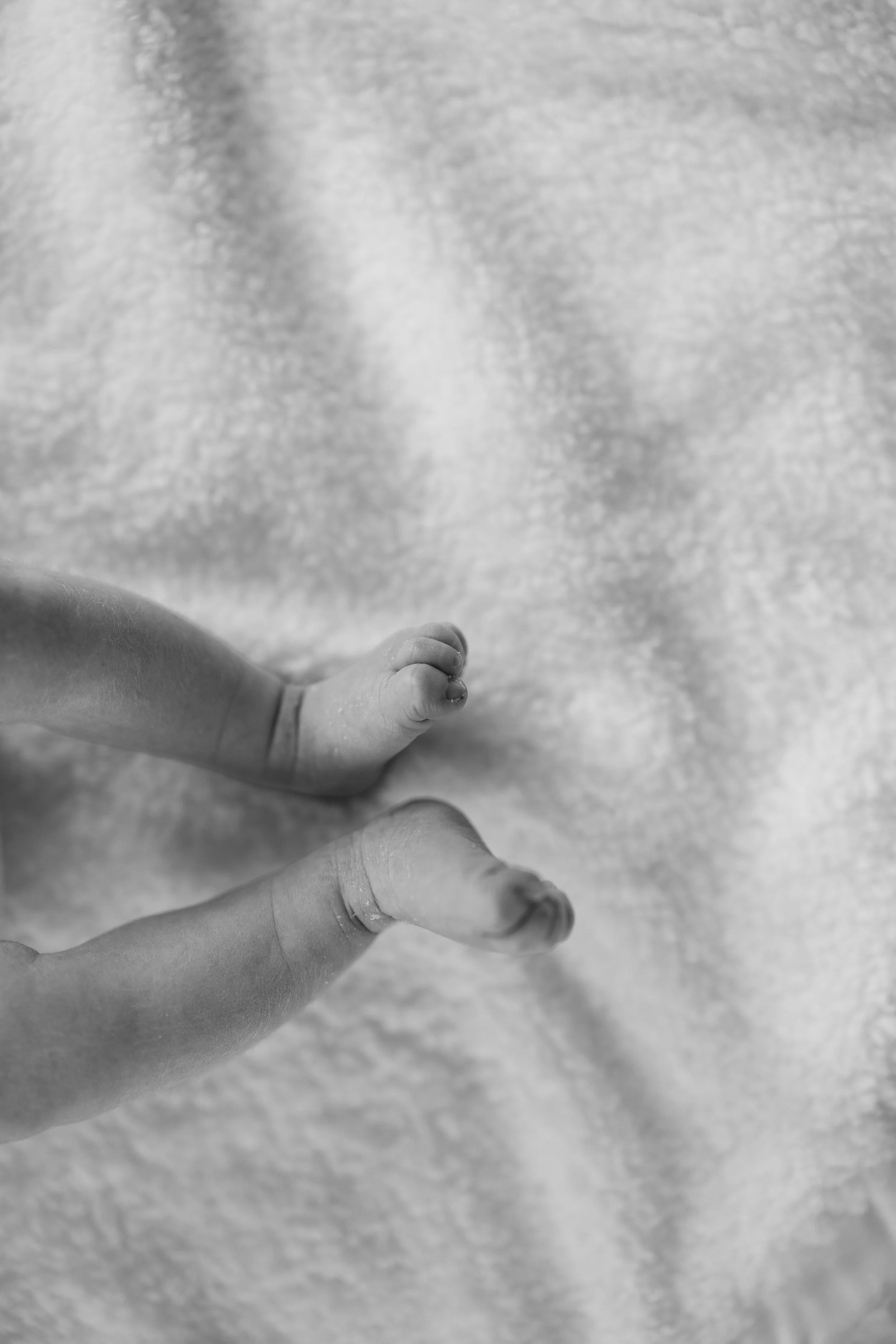 Isla Newborn 26-238.jpg