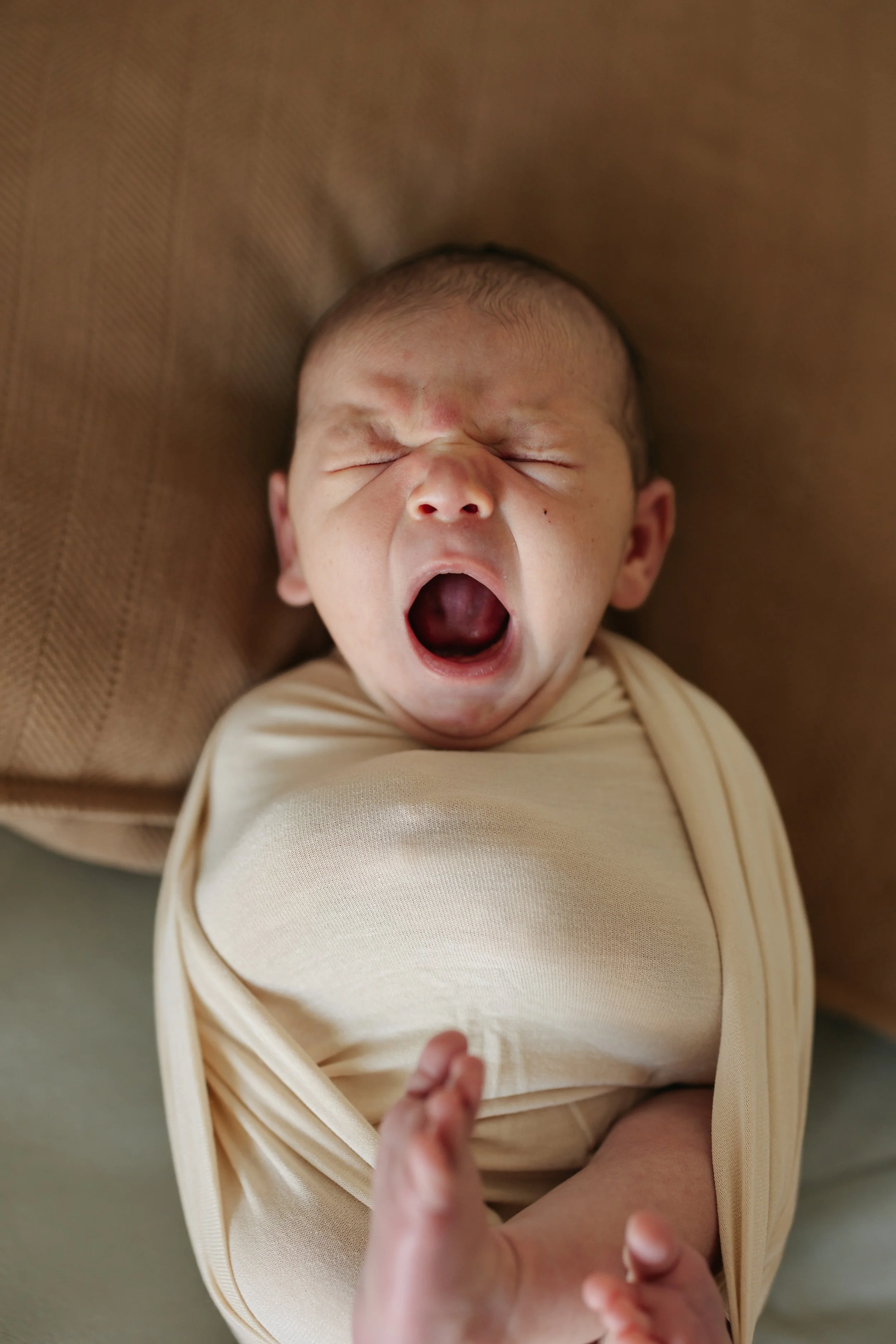 Wyatt Newborn editorial-16.jpg