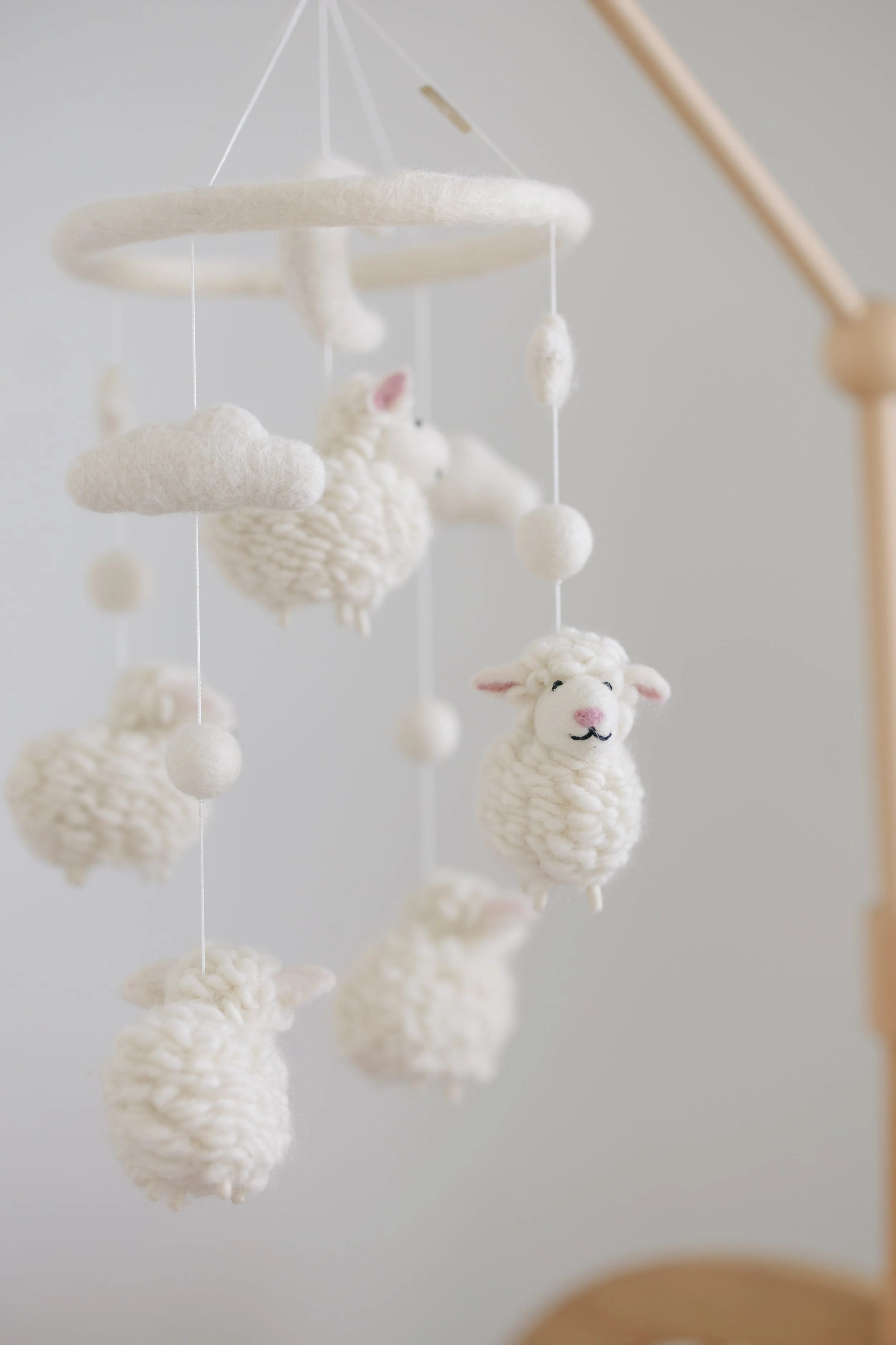 Isla Newborn 26-15.jpg
