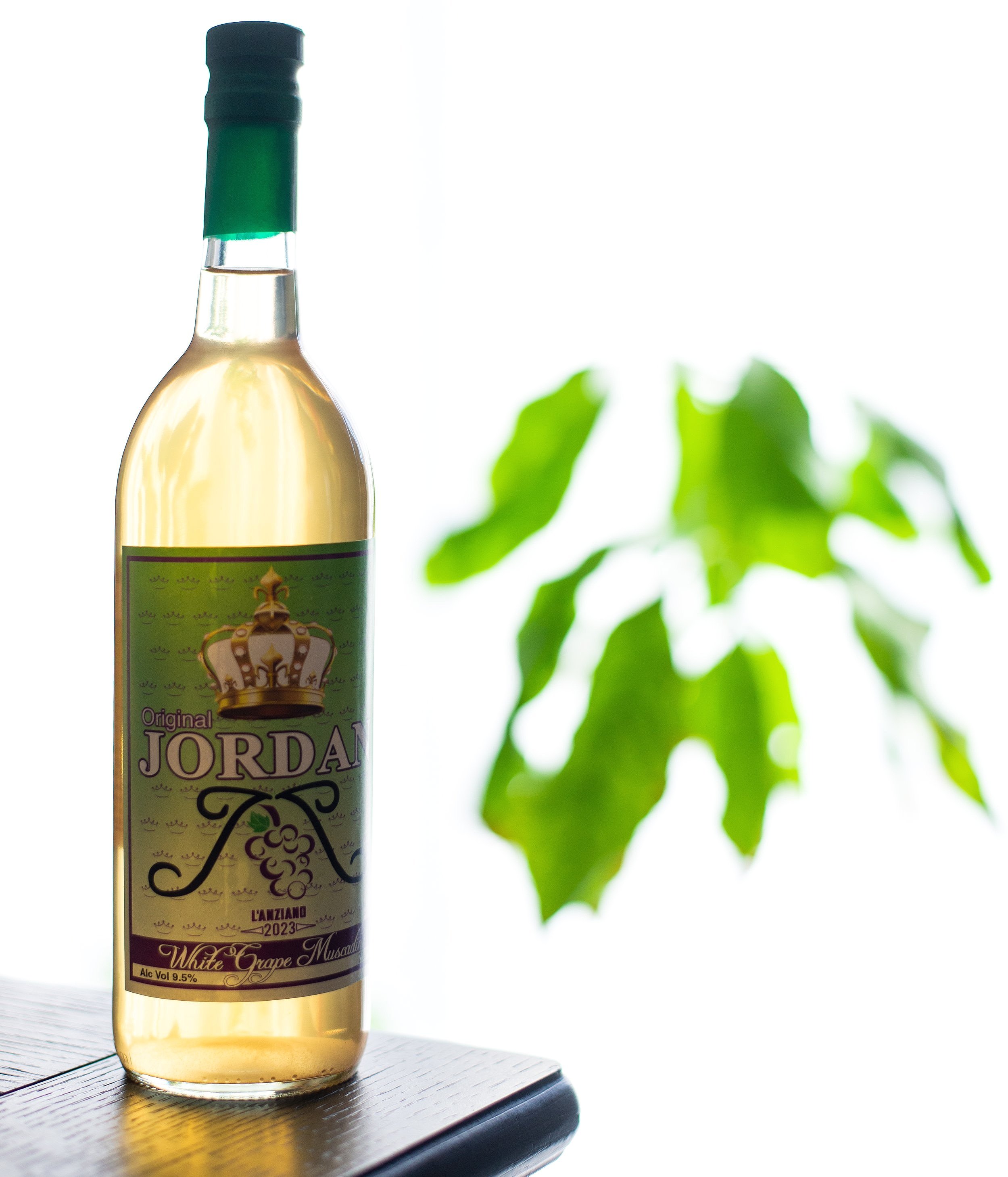 White Grape Muscadine