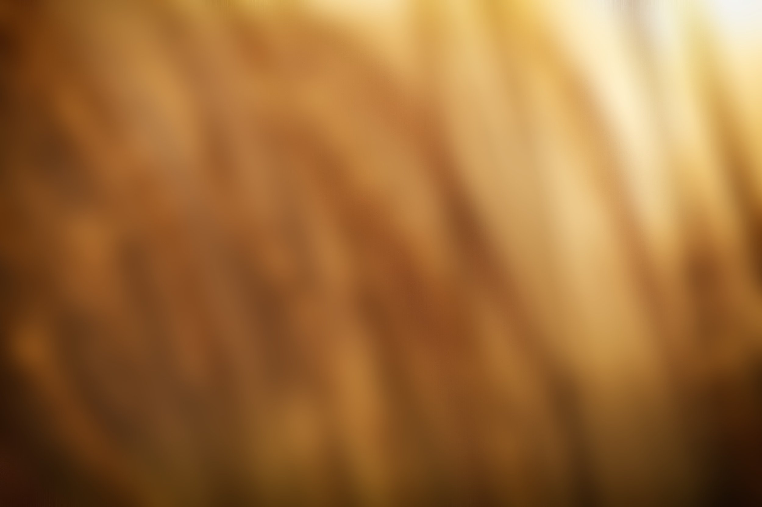 Winter Reminders for Behavioral Health Professionals