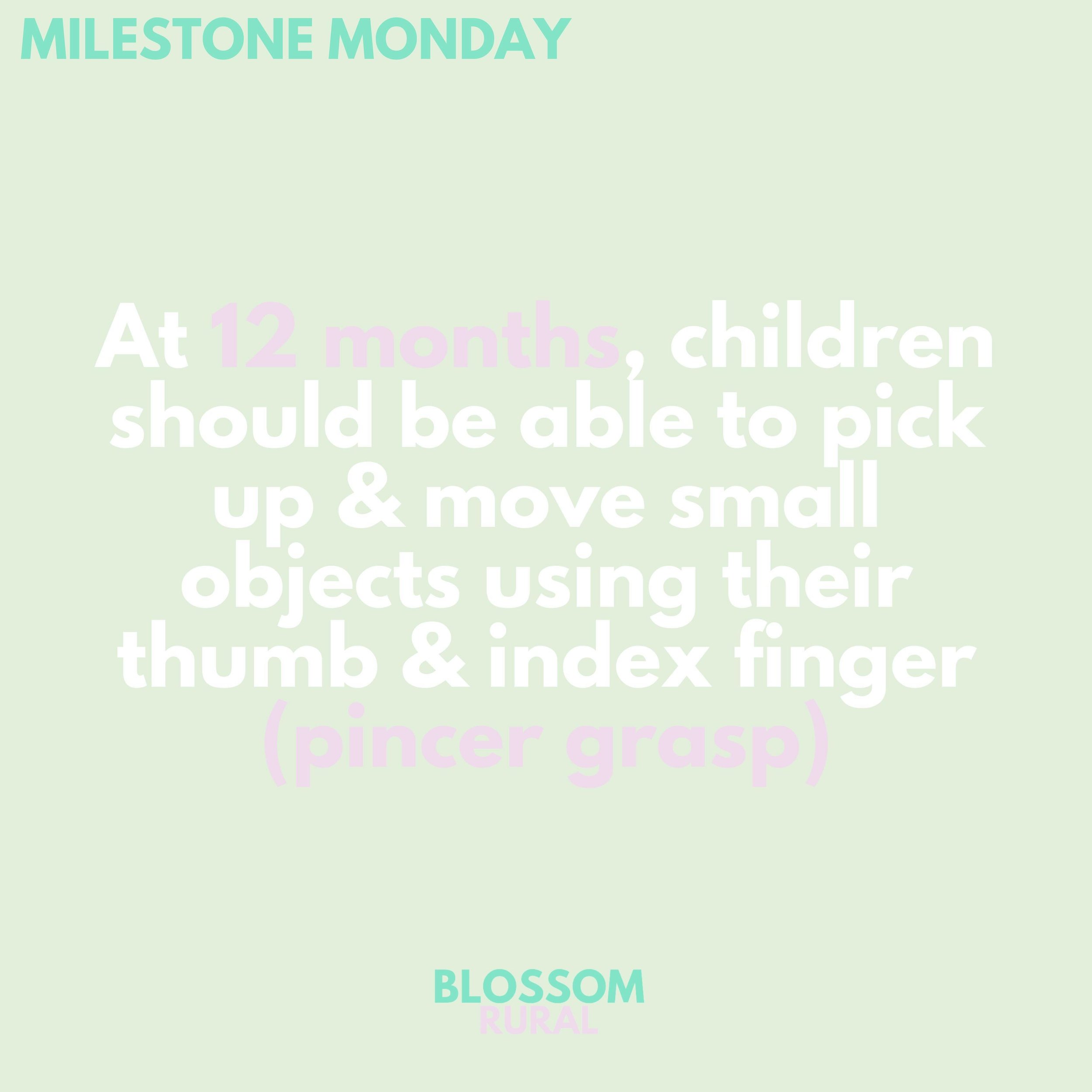 MILESTONE MONDAY ⭐

BY 12 months, children should be able to pick up and move small objects with their thumb and index finger (pincer grasp) 🦀

If you have any concerns about how your child is tracking with this milestone, please send us a DM or giv