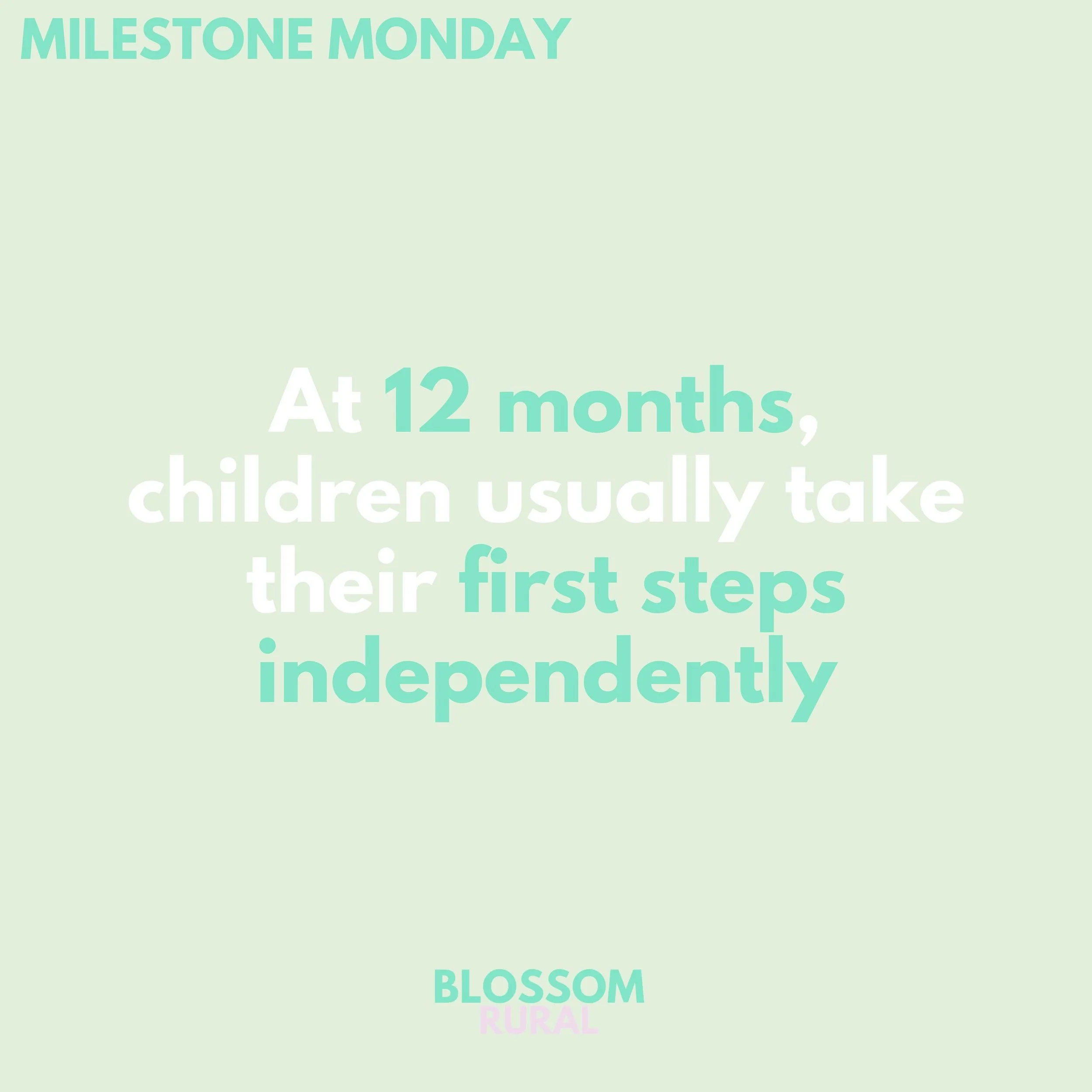 👣 MILESTONE MONDAY 👣

By 12 months, children usually take their first steps independently 🚶

This is a very exciting milestone! Your child is well on their way to independence 🏆

#milestonemonday #occupationaltherapy #ot #firststeps #growingup #g