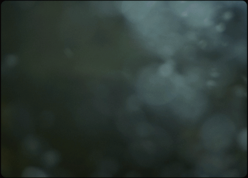 ezgif-822f8fe51ceb8094.gif