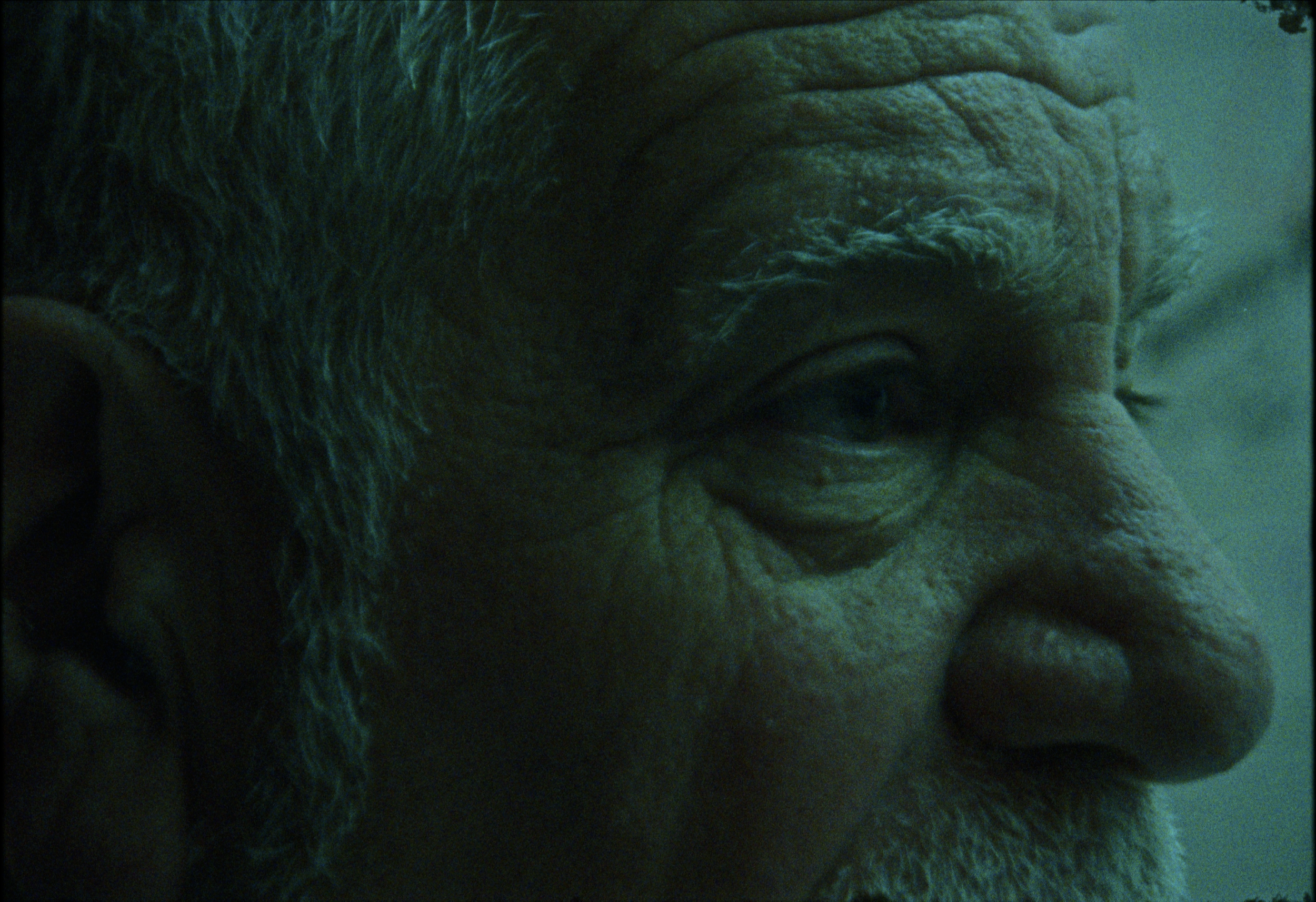 Screenshot 2026-04-10 at 5.26.17 PM.png