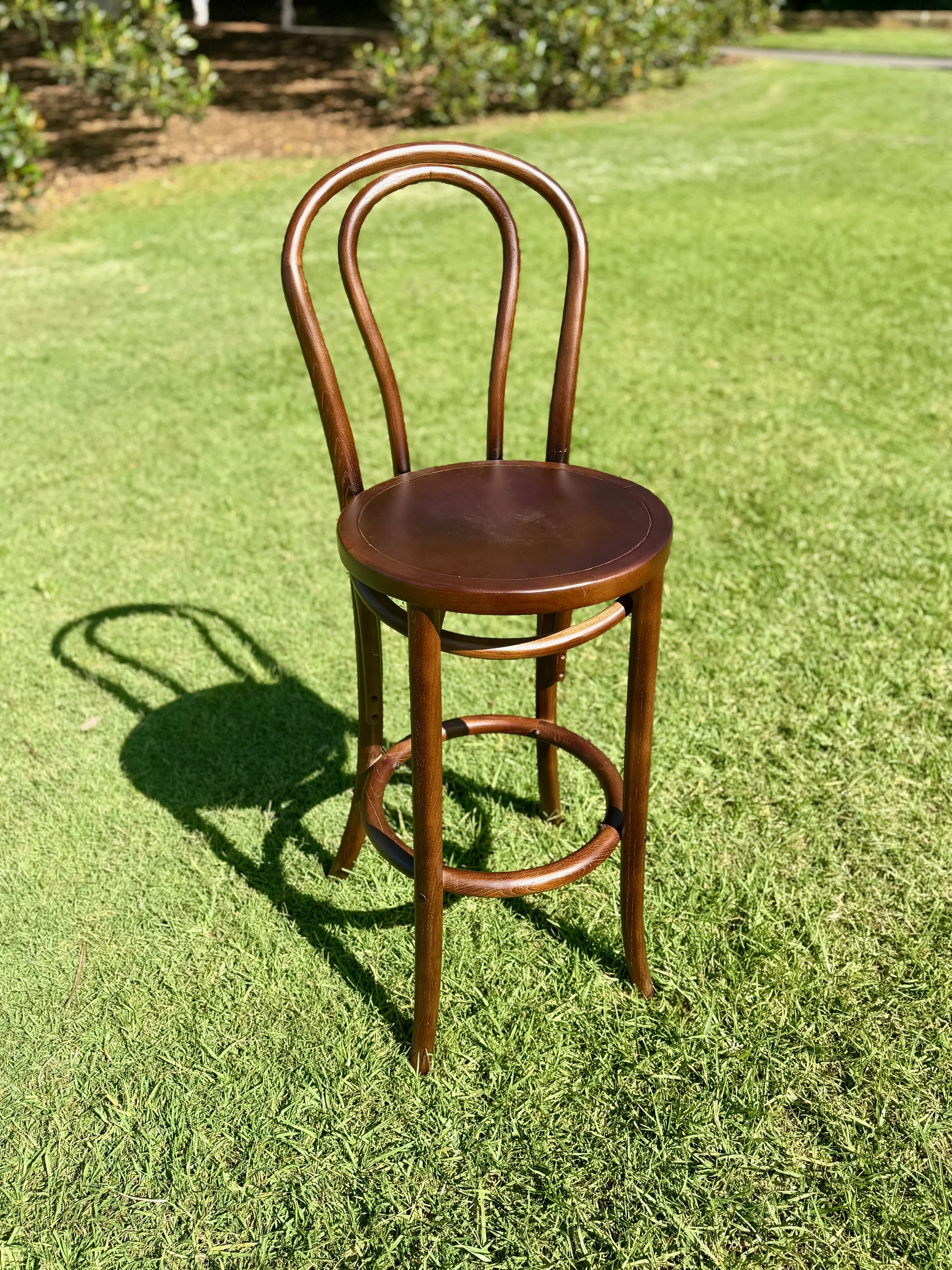 Brown Bentwood Bar Stool