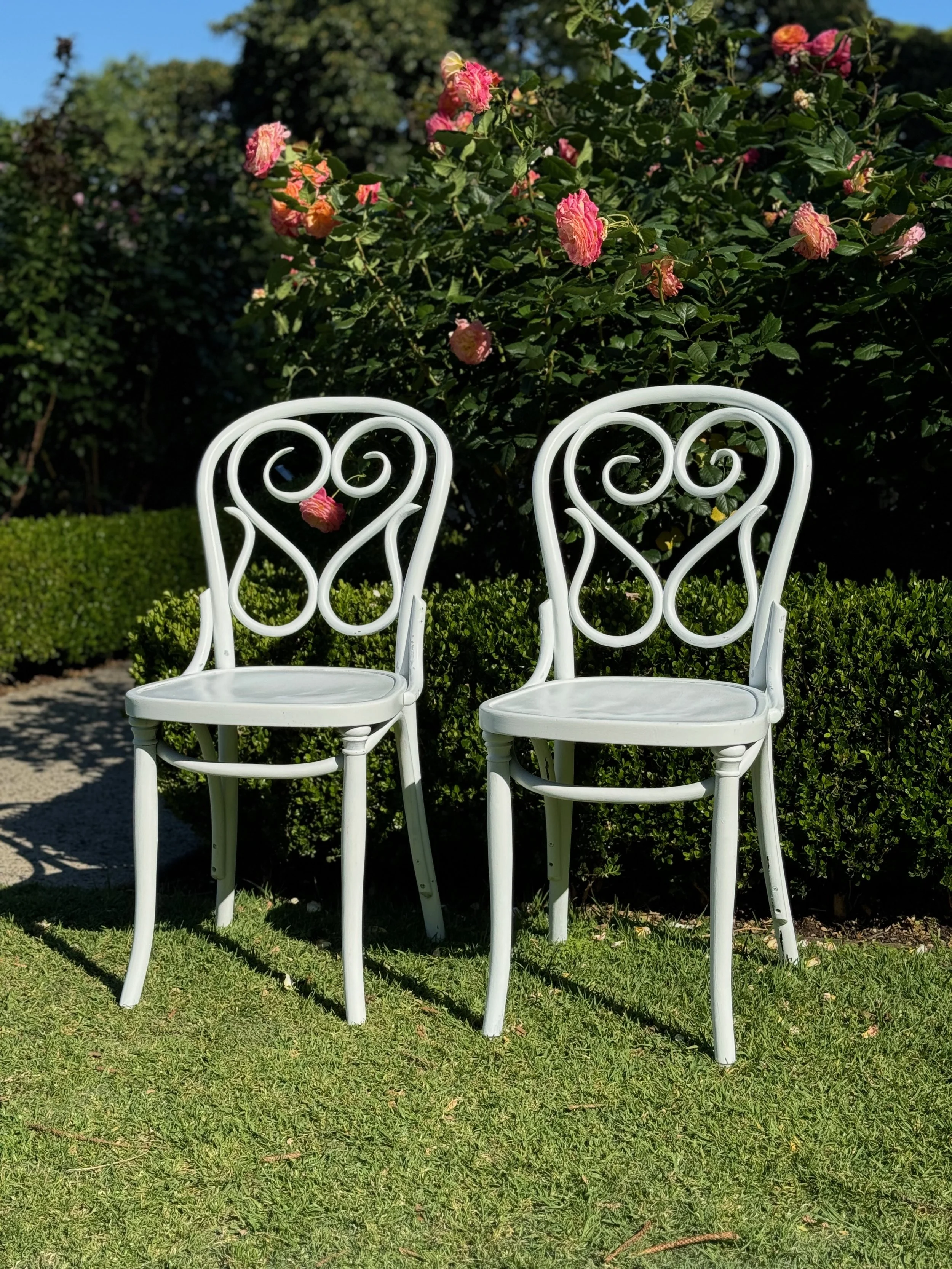 Vienna Signing Chair White