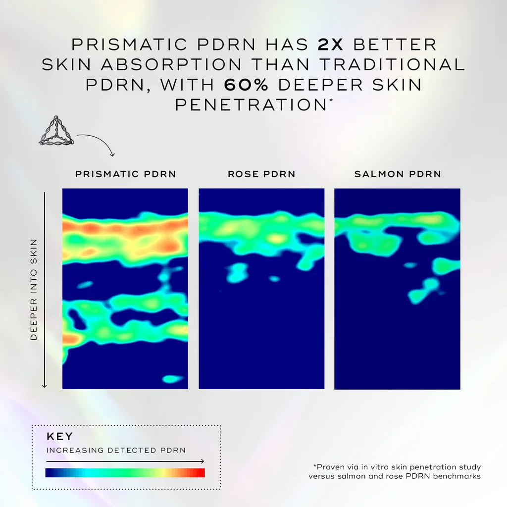 20260216_-_EXO-PDRN_-_Web_Assets_-_PDP_-_Asset_12_-_PDRN_Skin_Penetration_-_ROW.webp