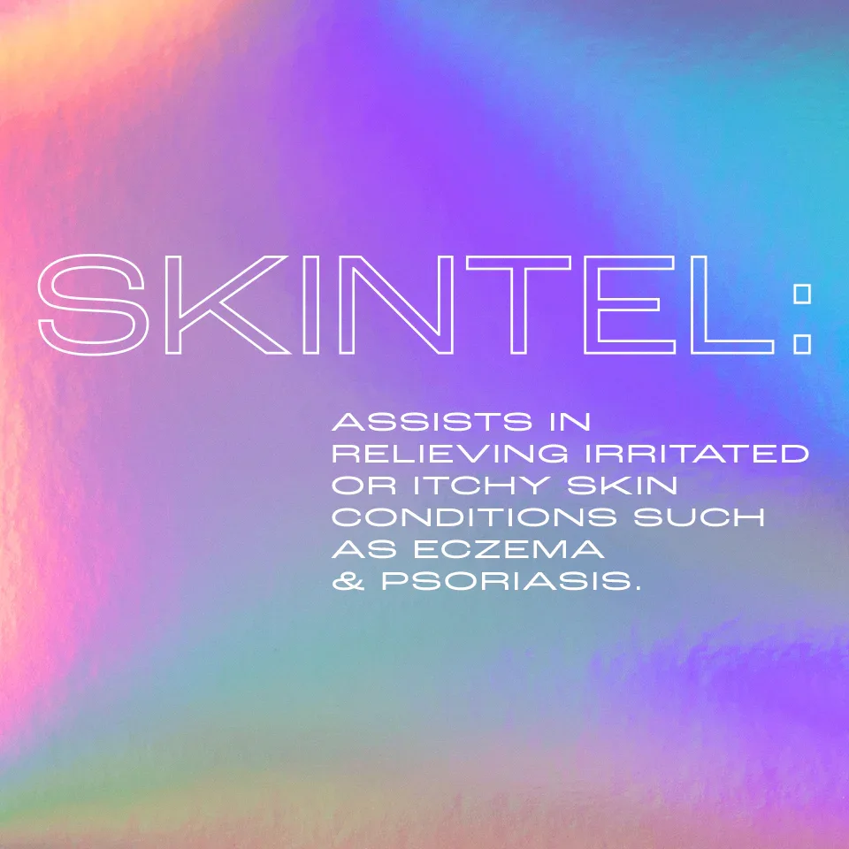 ULTRA DRY SKINTEL.webp