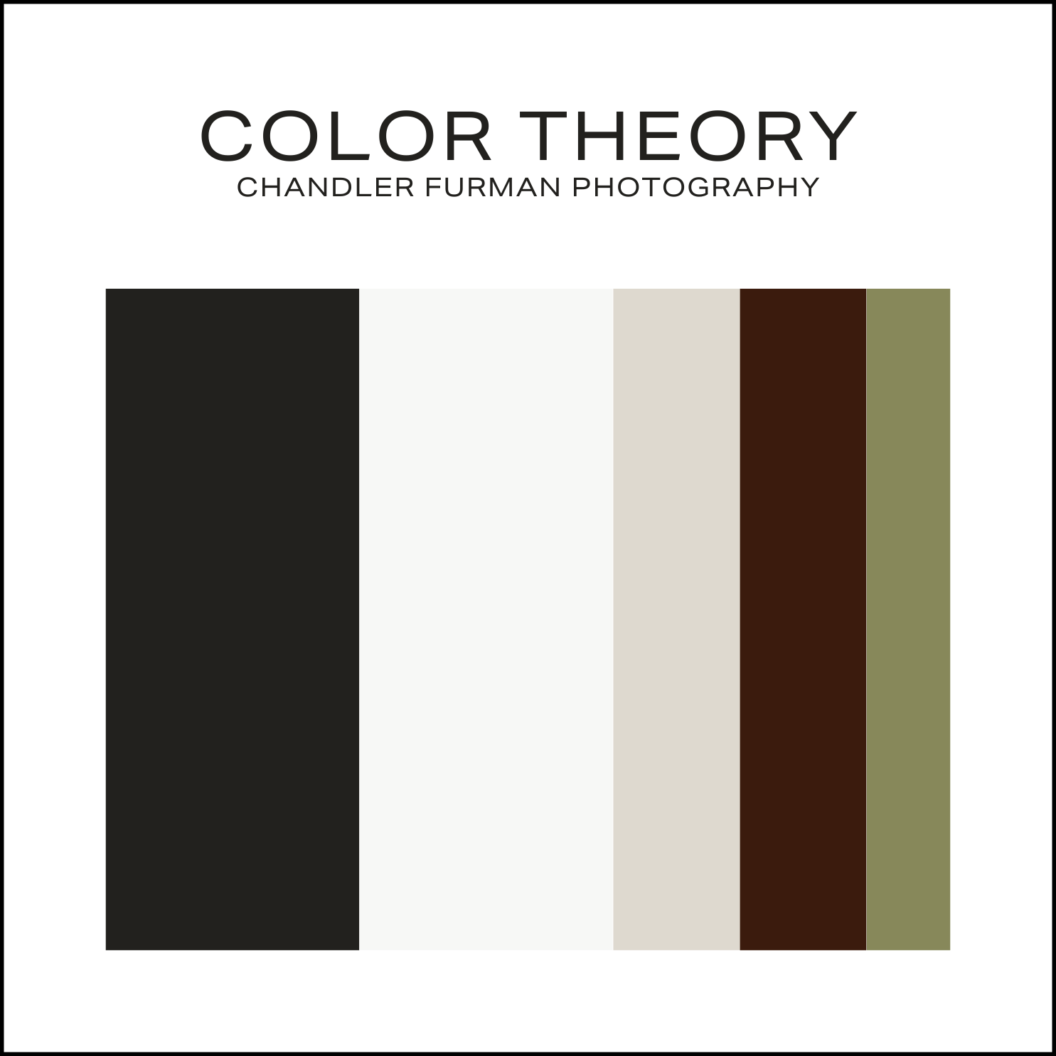 The cover of a book titled "Color Theory" by Chandler Furman Photography, featuring vertical color bars in black, white, gray, brown, and olive green.