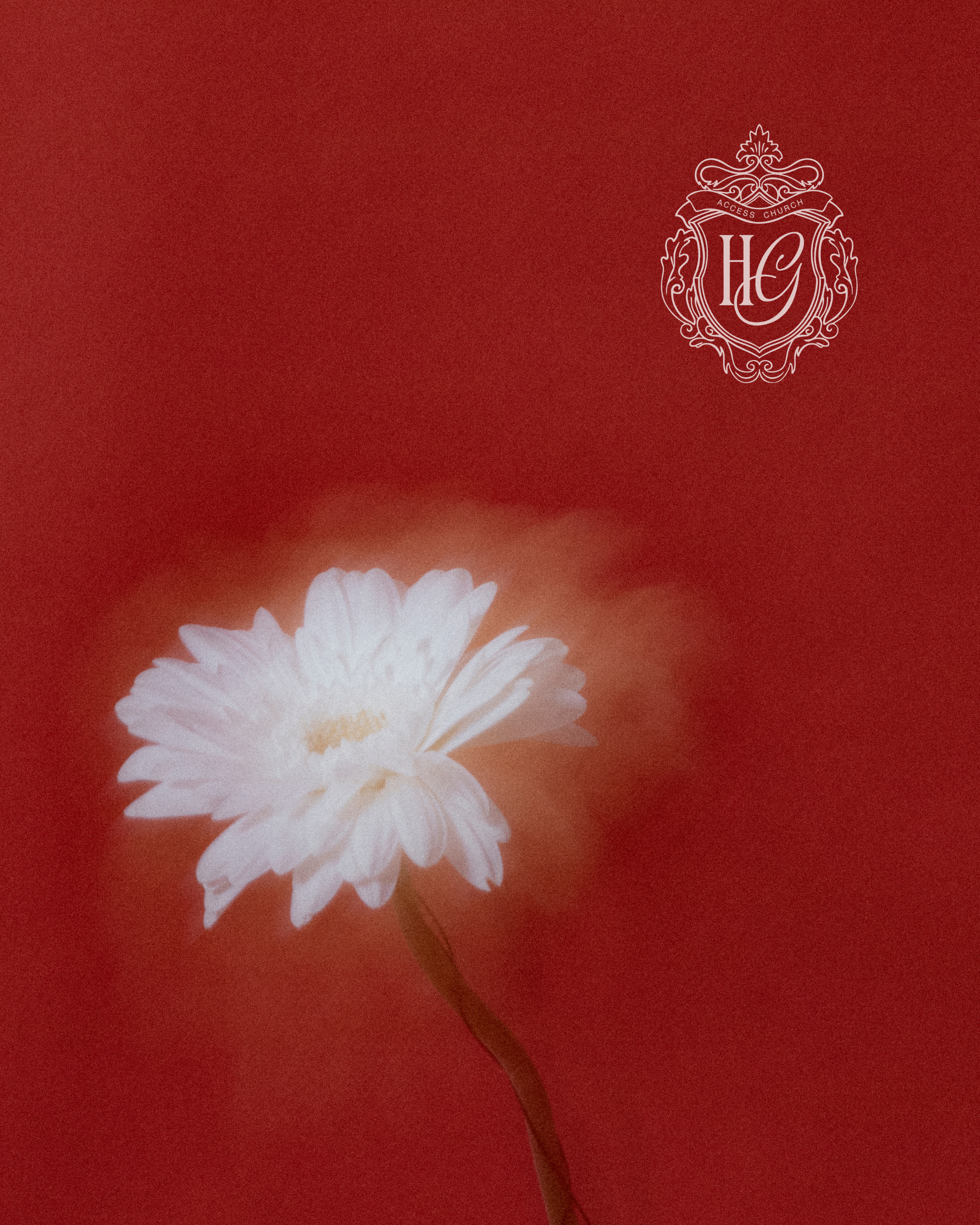 A white flower with many petals against a red background and an ornate church emblem with the initials HC on the right side.