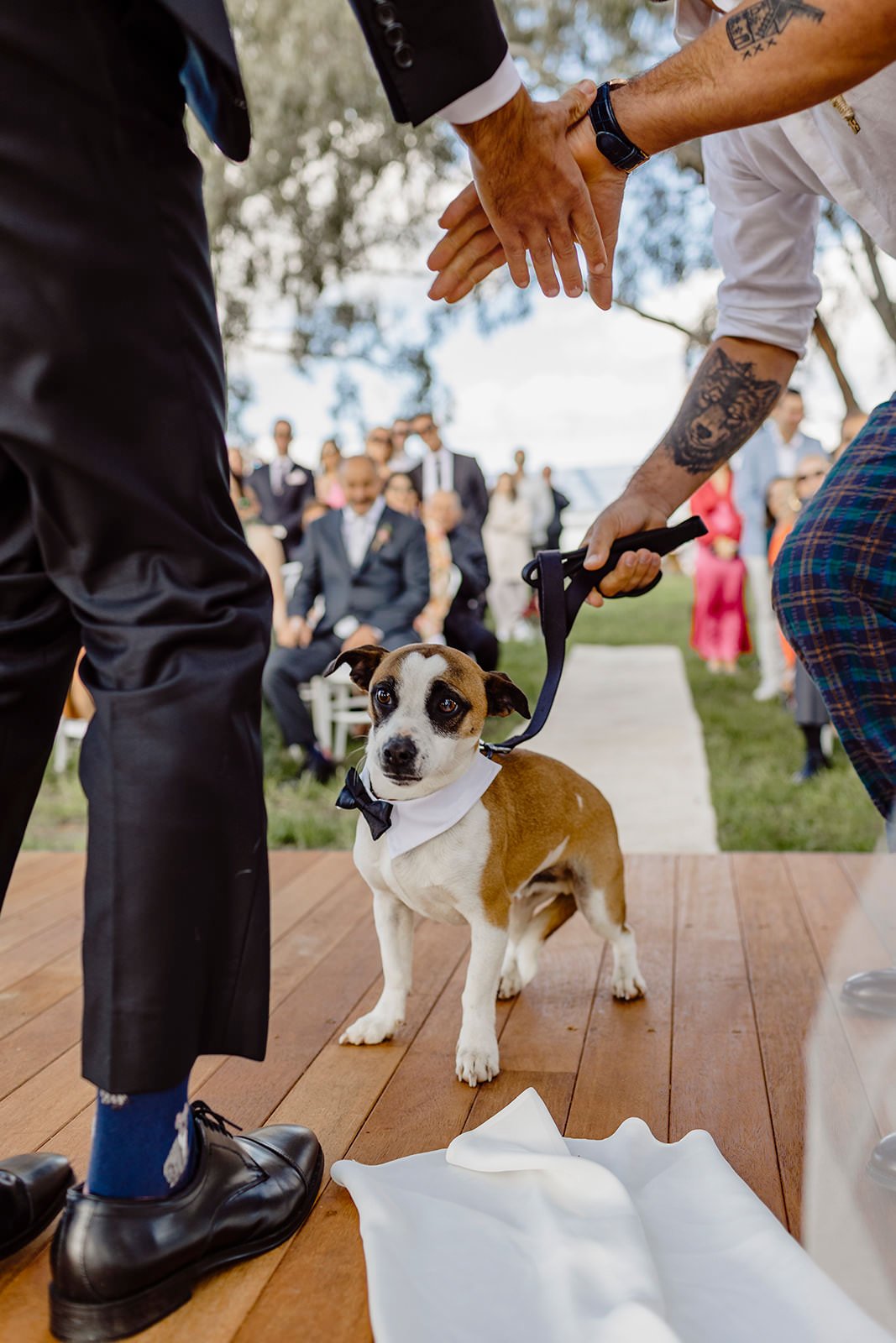 Kirsten-Cunningham-Photography-Wedding-Dubbo-Marquee-72.JPG