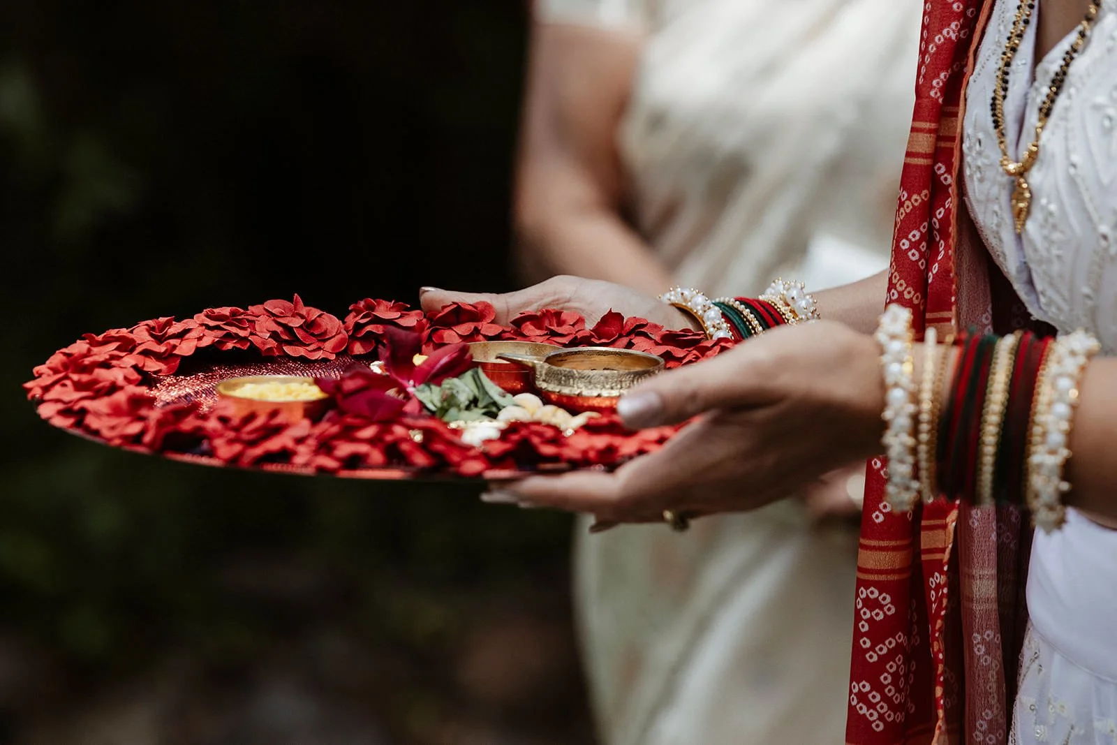 Hindu-Wedding-Photographer-Mayfield-Orange-NSW-144.JPG