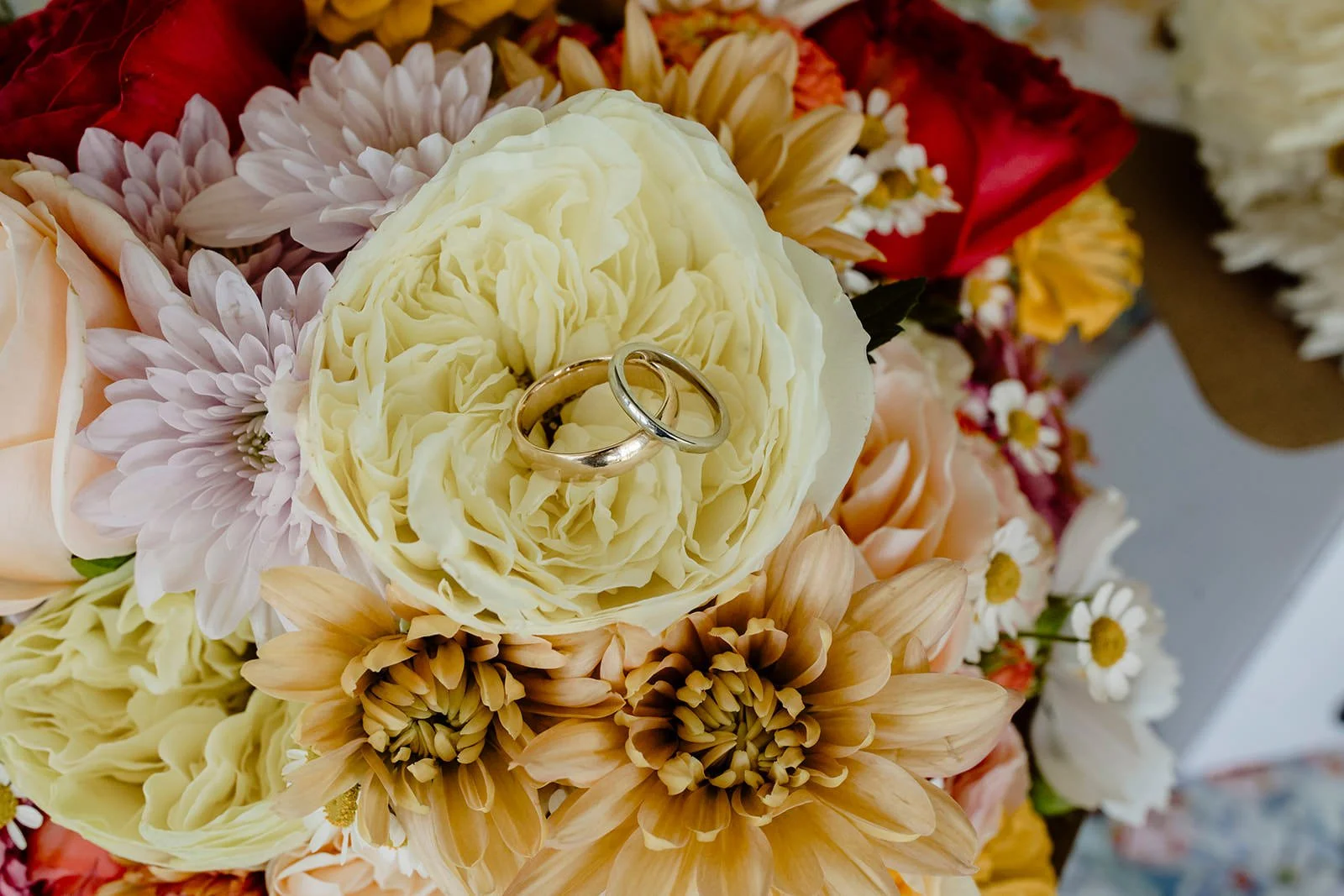 Country-Wedding-Photographer-NSW-Kirsten-Cunningham-4.JPG