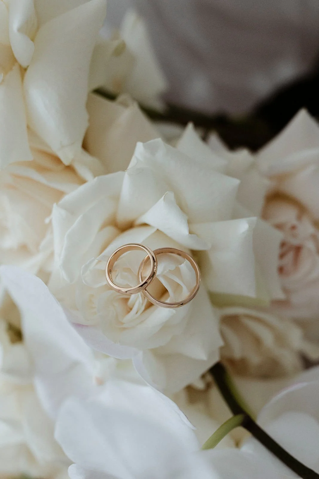 Mayfield-Vineyard-Wedding-Photographer-NSW-Kirsten-Cunningham-8.JPG