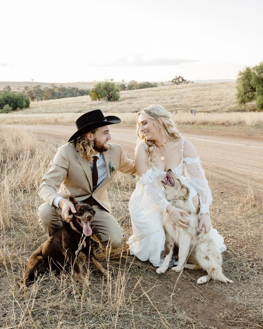 Hills, sunflowers, and golden hour &mdash; Emma &amp; Bryton&rsquo;s intimate elopement outside Canowindra was as genuine as it gets.

Only Emma&rsquo;s parents were there to witness, and a friendly neighbour added magic with his horse and cart. Sunf
