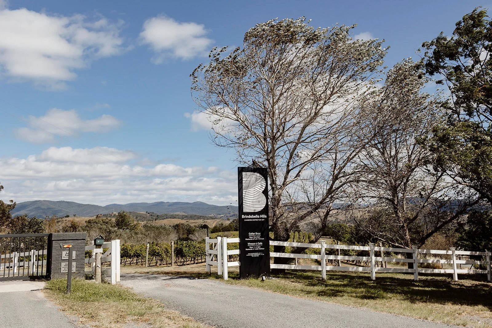 brindabella-winery-wedding-canberra-kirsten-cunningham-19.JPG