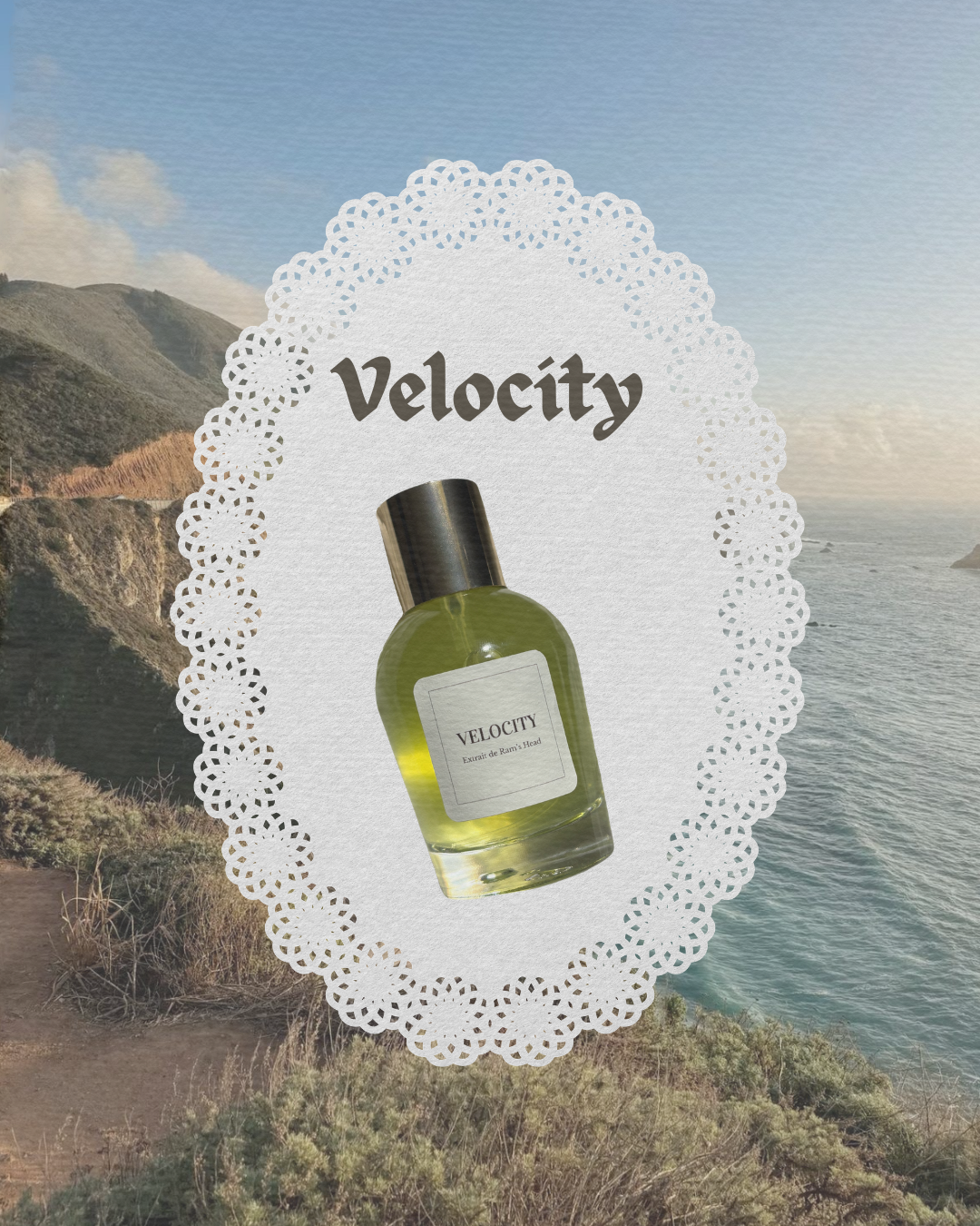 Velocity