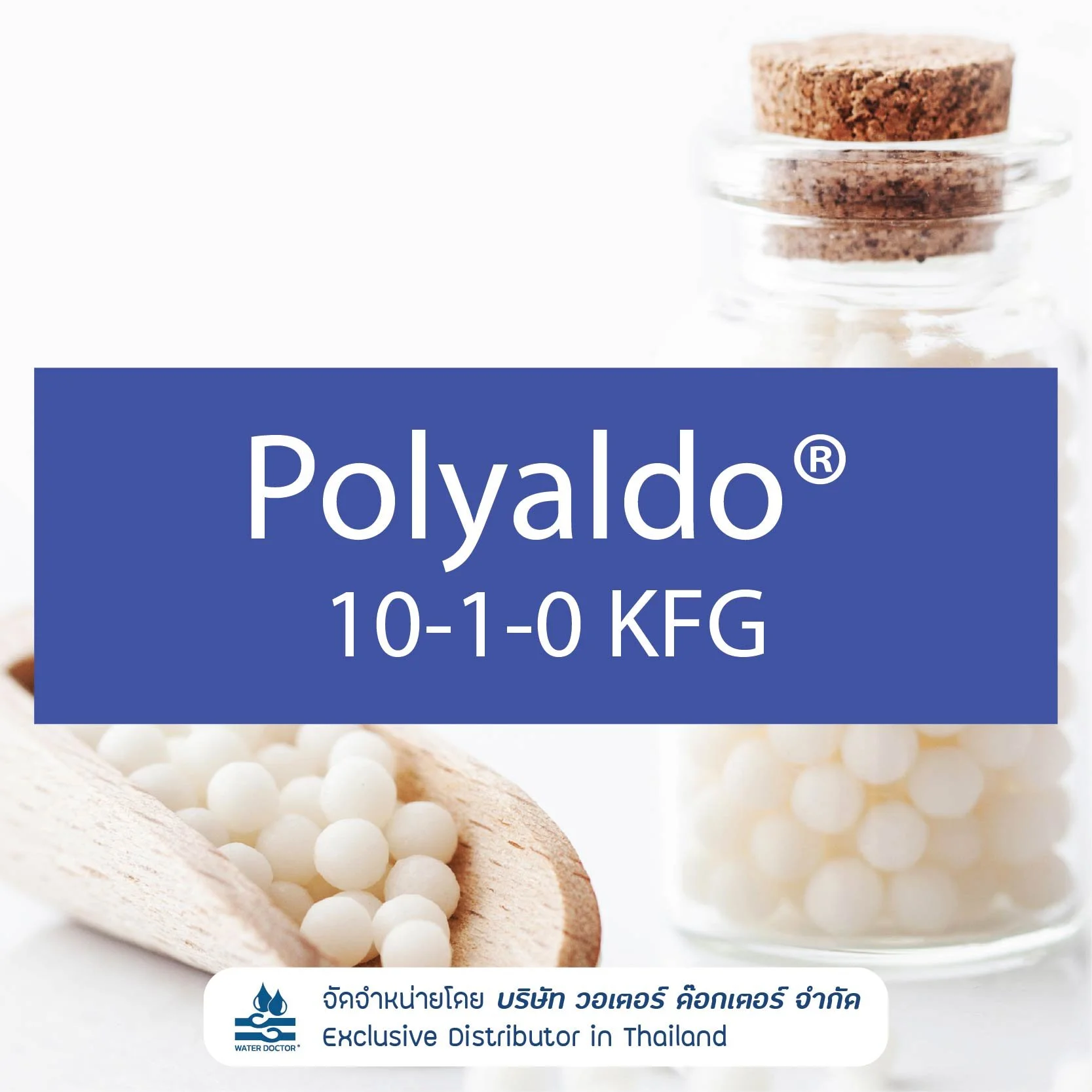 Polyaldo 10-1-0 KFG อิมัลซิไฟเออร์ชนิด Non-ionic ,PEG-free เหมาะสำหรับสูตร Natural