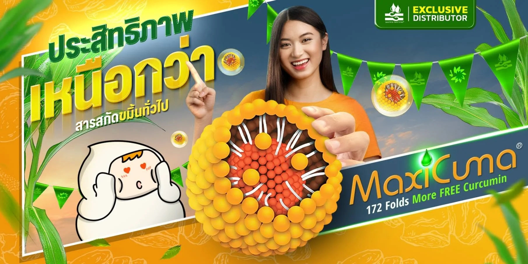 Maxicuma® สารสกัดจากขมิ้น Curcuminoid 40%