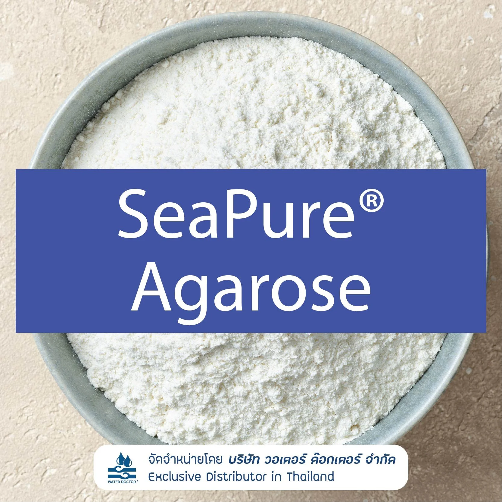 SeaPure Agarose วัตถุดิบ Agarose จากสาหร่ายทะเล สำหรับงาน Personal Care