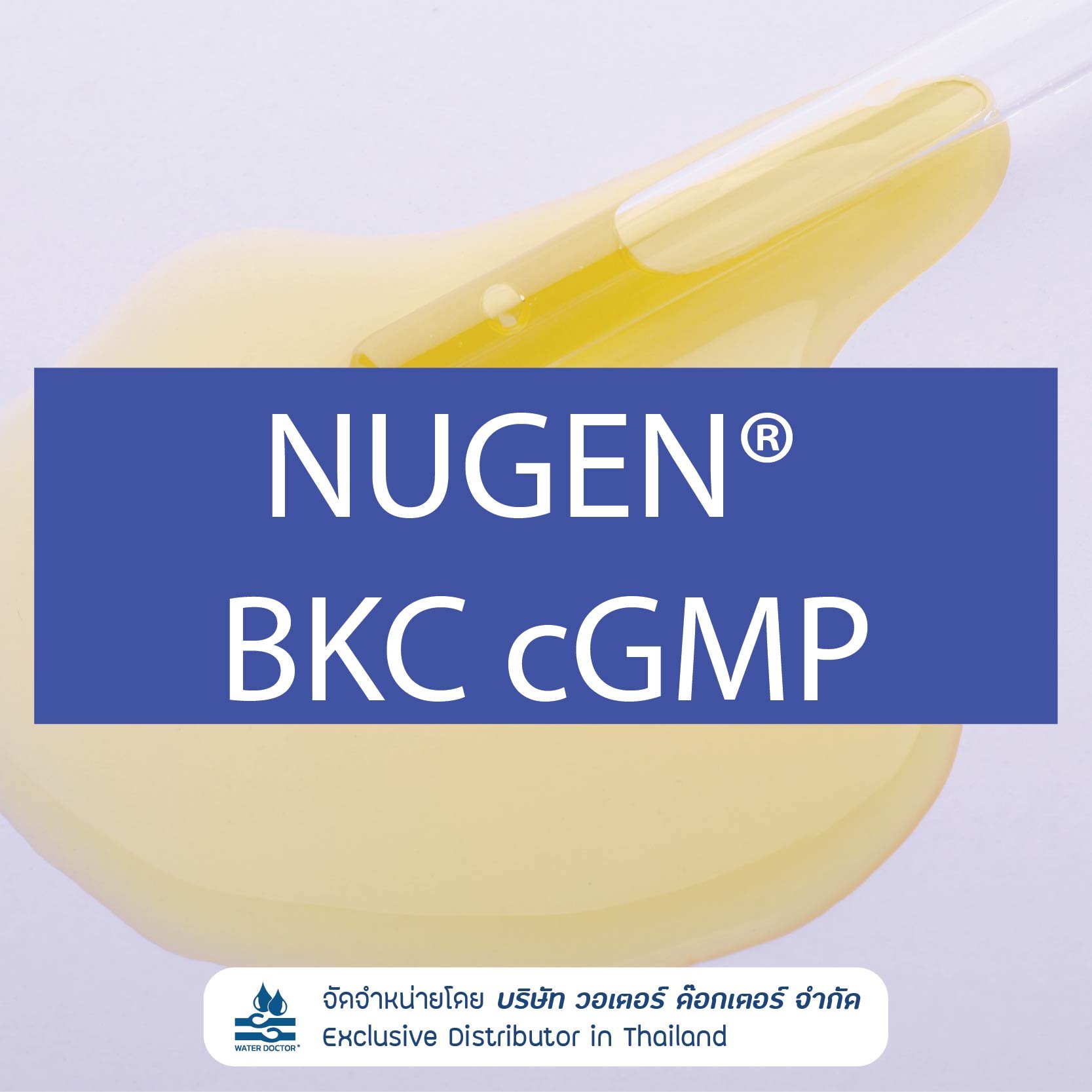 NUGEN BKC cGMP สารลดแรงตึงผิว Cationic Surfactant สารกันเสีย และสารฆ่าเชื้อ (Benzalkonium Chloride เกรดเภสัชกรรม)