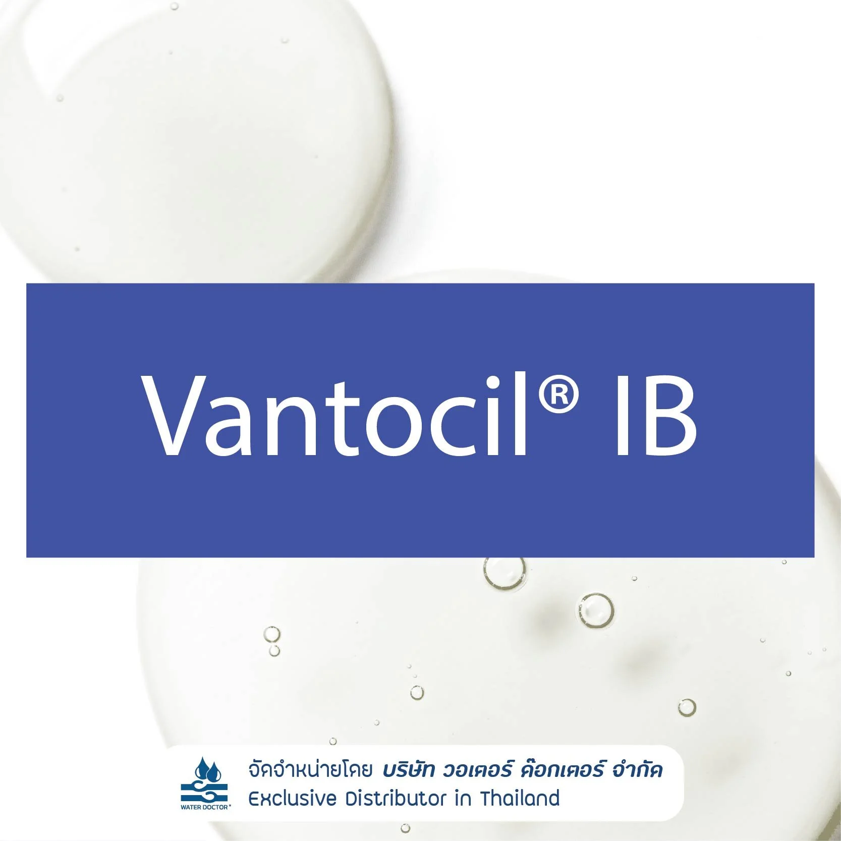VANTOCIL IB สารกันเสียและสารฆ่าเชื้อ (Polyaminopropyl Biguanide (PHMB 20%))