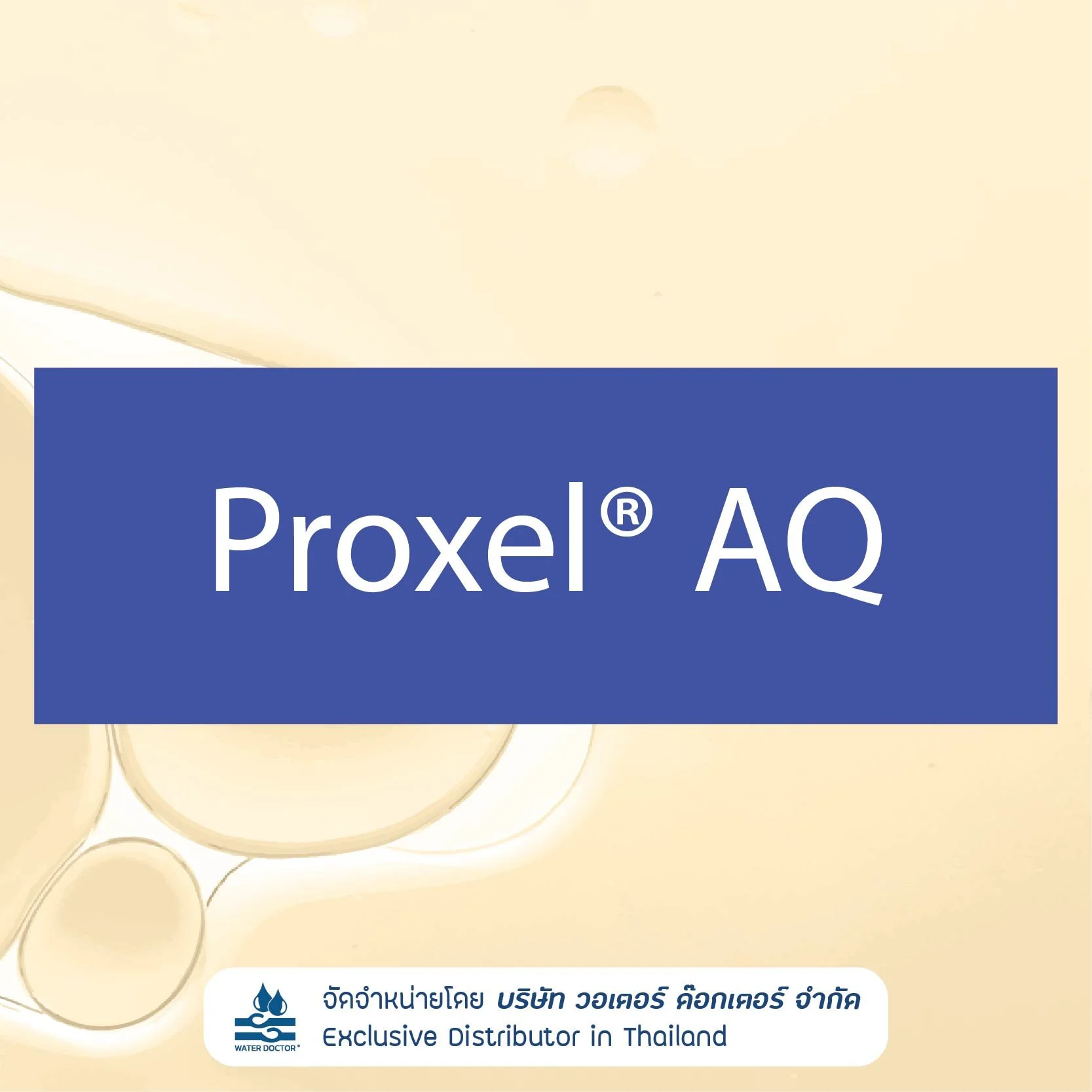 PROXEL AQ สารกันเสียสำหรับผลิตภัณฑ์สูตรน้ำ (Water-based Products) ในกลุ่ม Isothiazolinone