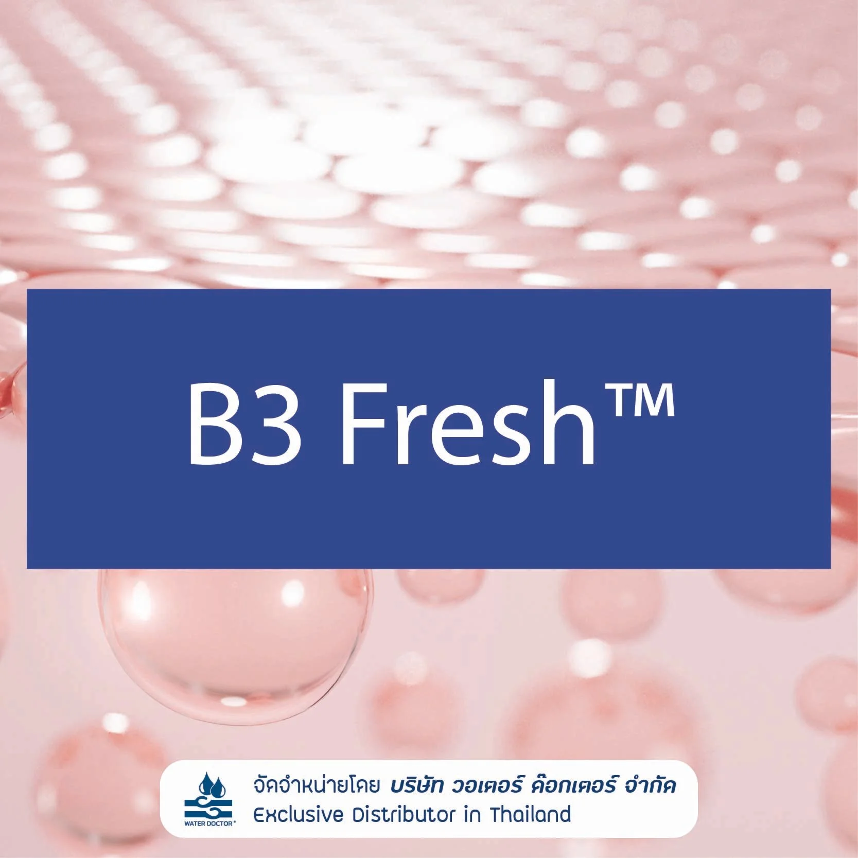 B3 Fresh Niacinamide (Vitamin B3) สำหรับใช้ในผลิตภัณฑ์ Personal Care