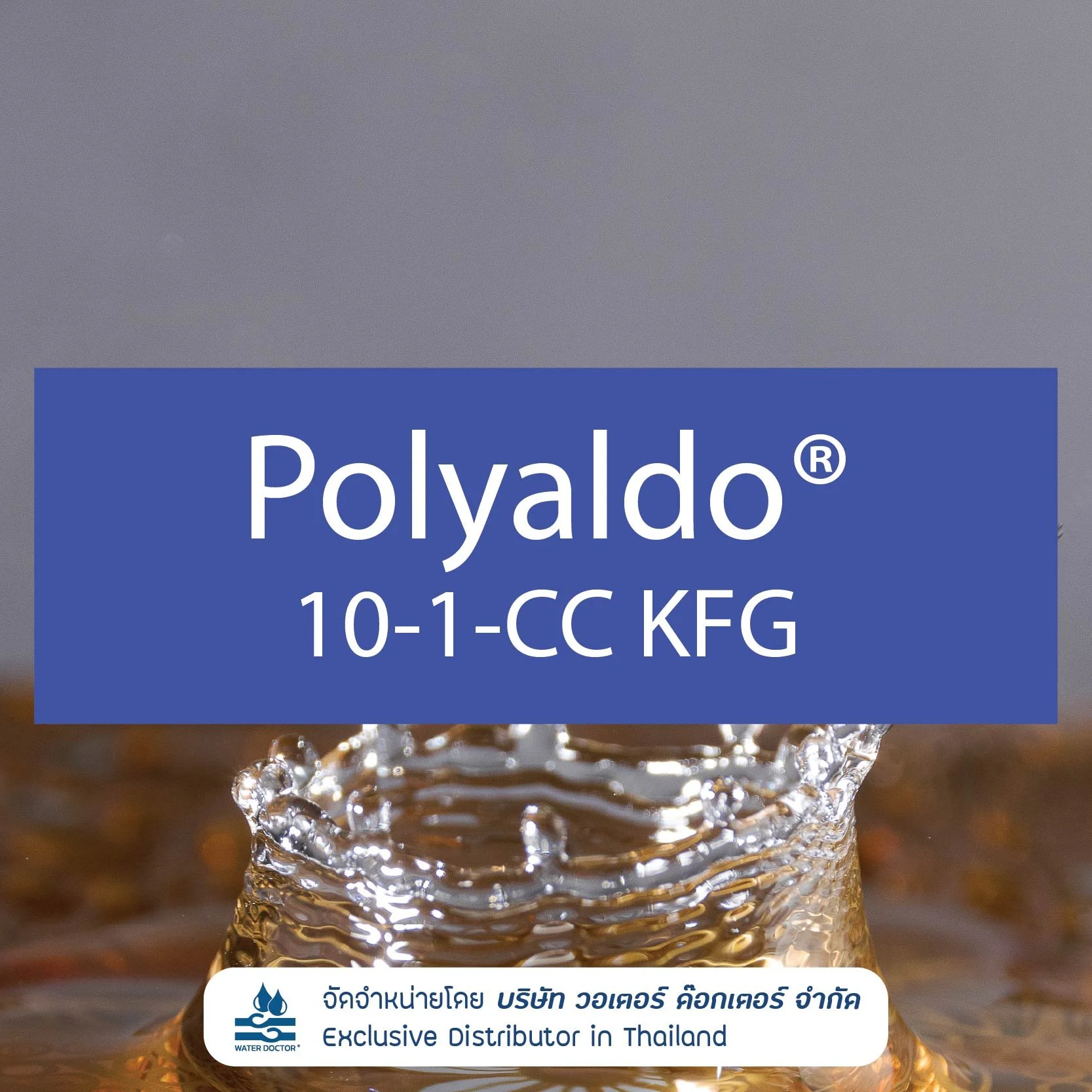 Polyaldo 10-1-CC KFG สารลดแรงตึงผิว Mild Non-ionic Surfactant, Solubilizer จากธรรมชาติ