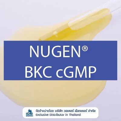 NUGEN BKC cGMP สารลดแรงตึงผิว Cationic Surfactant สารกันเสีย และสารฆ่าเชื้อ (Benzalkonium Chloride เกรดเภสัชกรรม)