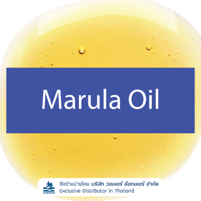Marula Oil น้ำมันธรรมชาติ สกัดจากเมล็ดของต้นมารูลา (Sclerocarya birrea)